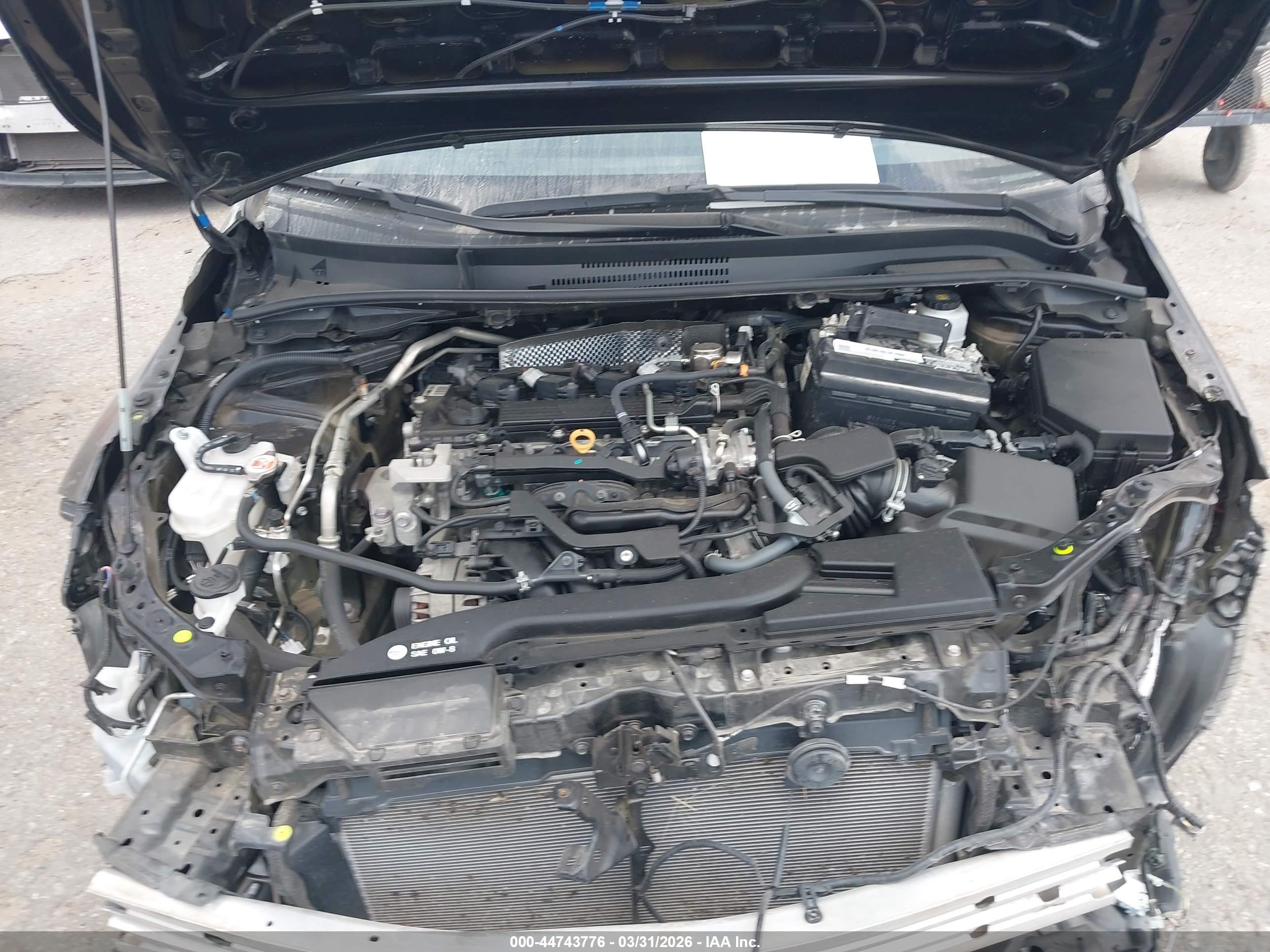 TOYOTA COROLLA image 10
