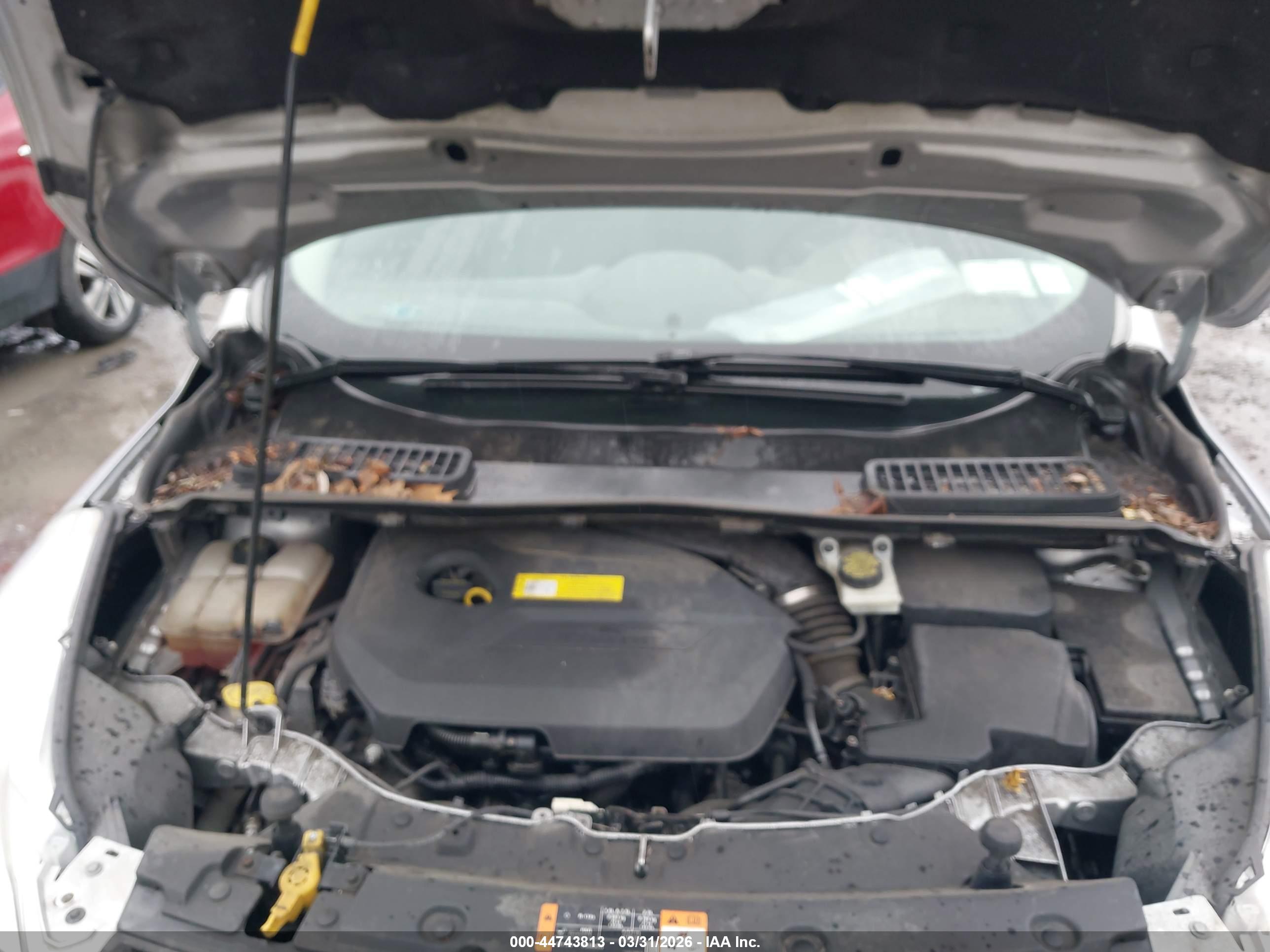 FORD ESCAPE image 10
