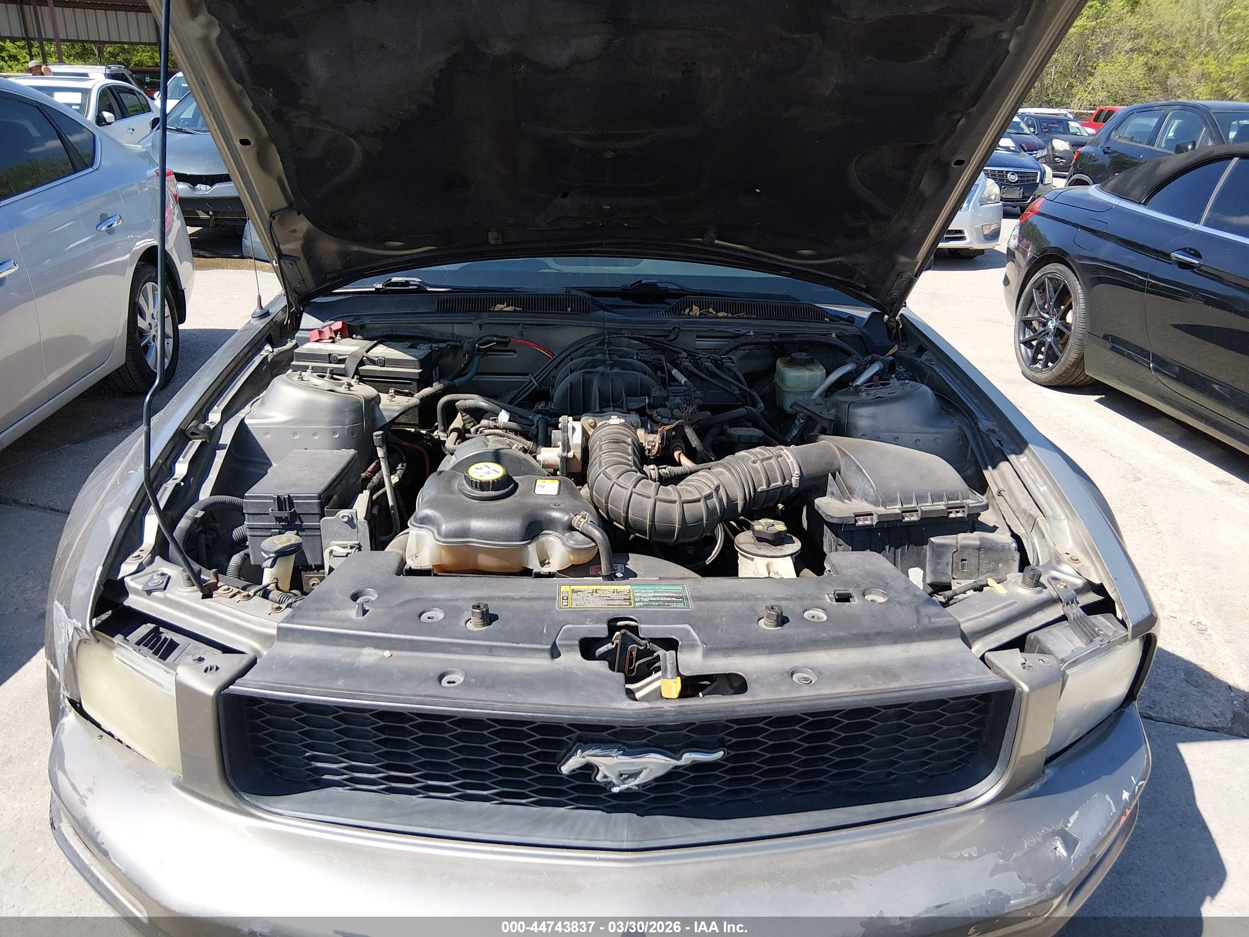 FORD MUSTANG image 10