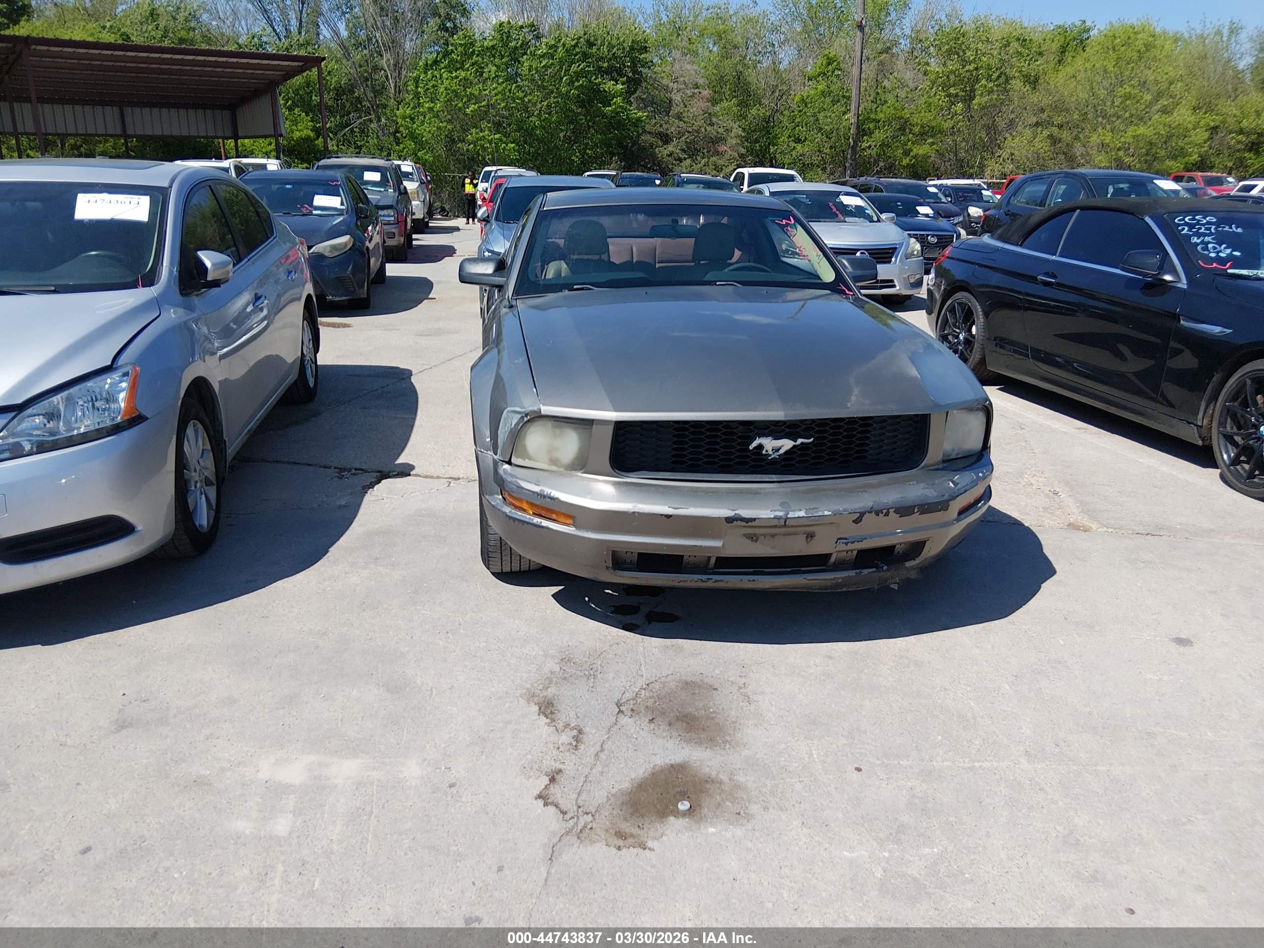 FORD MUSTANG image 6