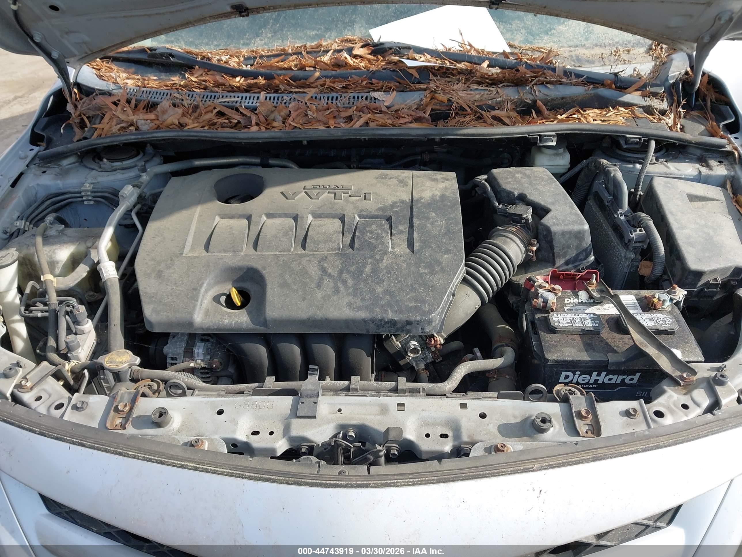 TOYOTA COROLLA image 10