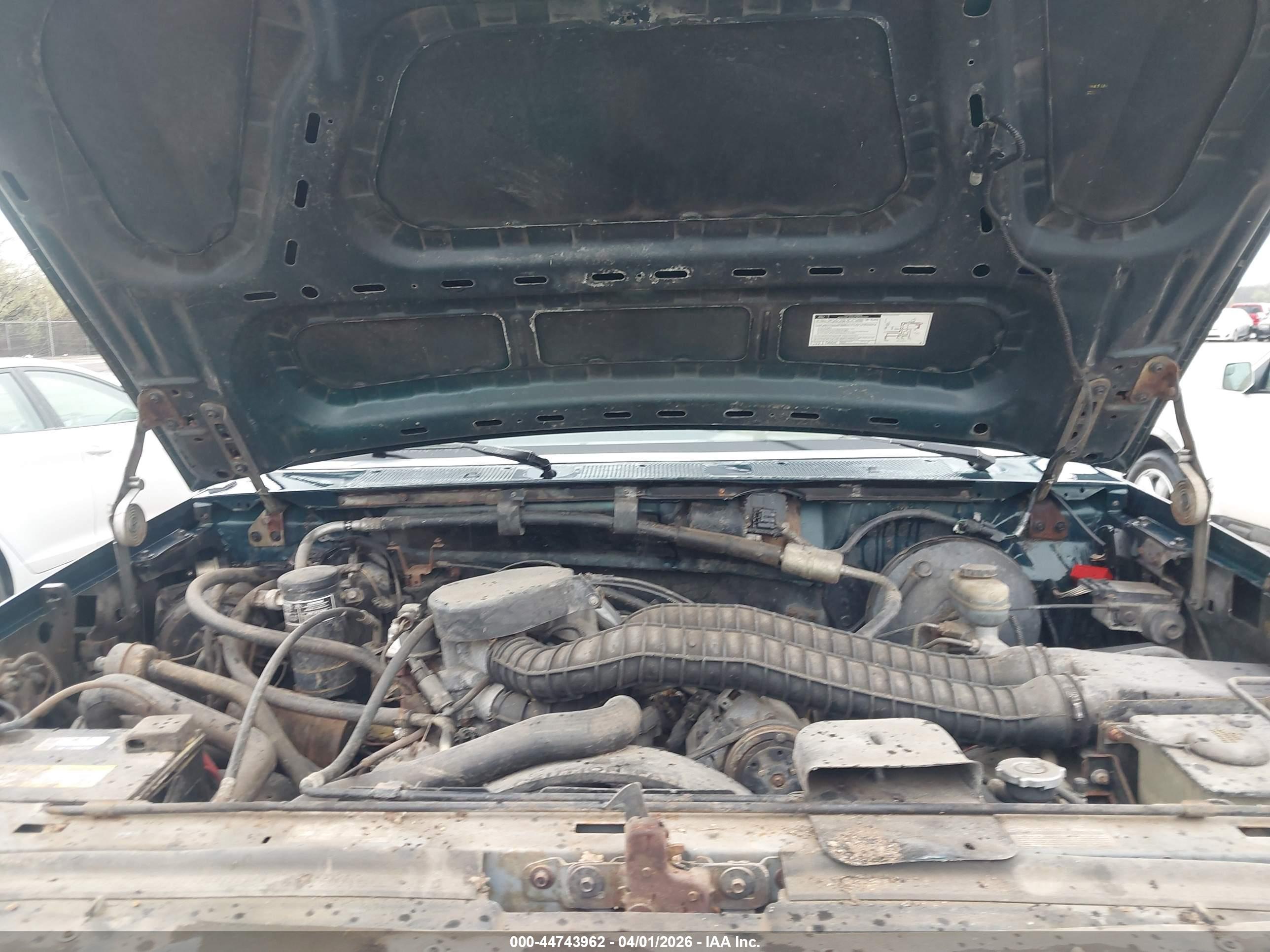 FORD BRONCO image 10