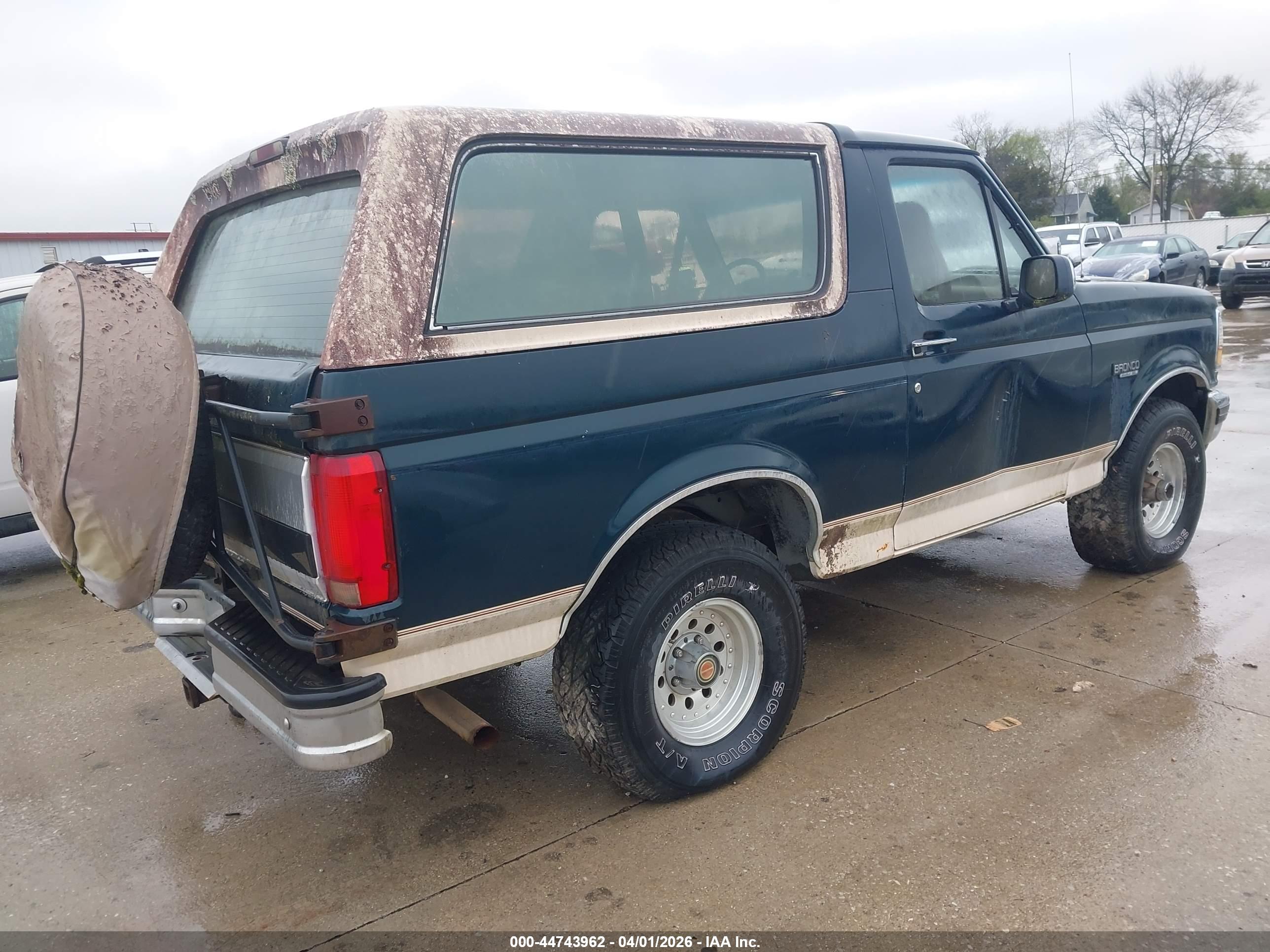 FORD BRONCO image 4