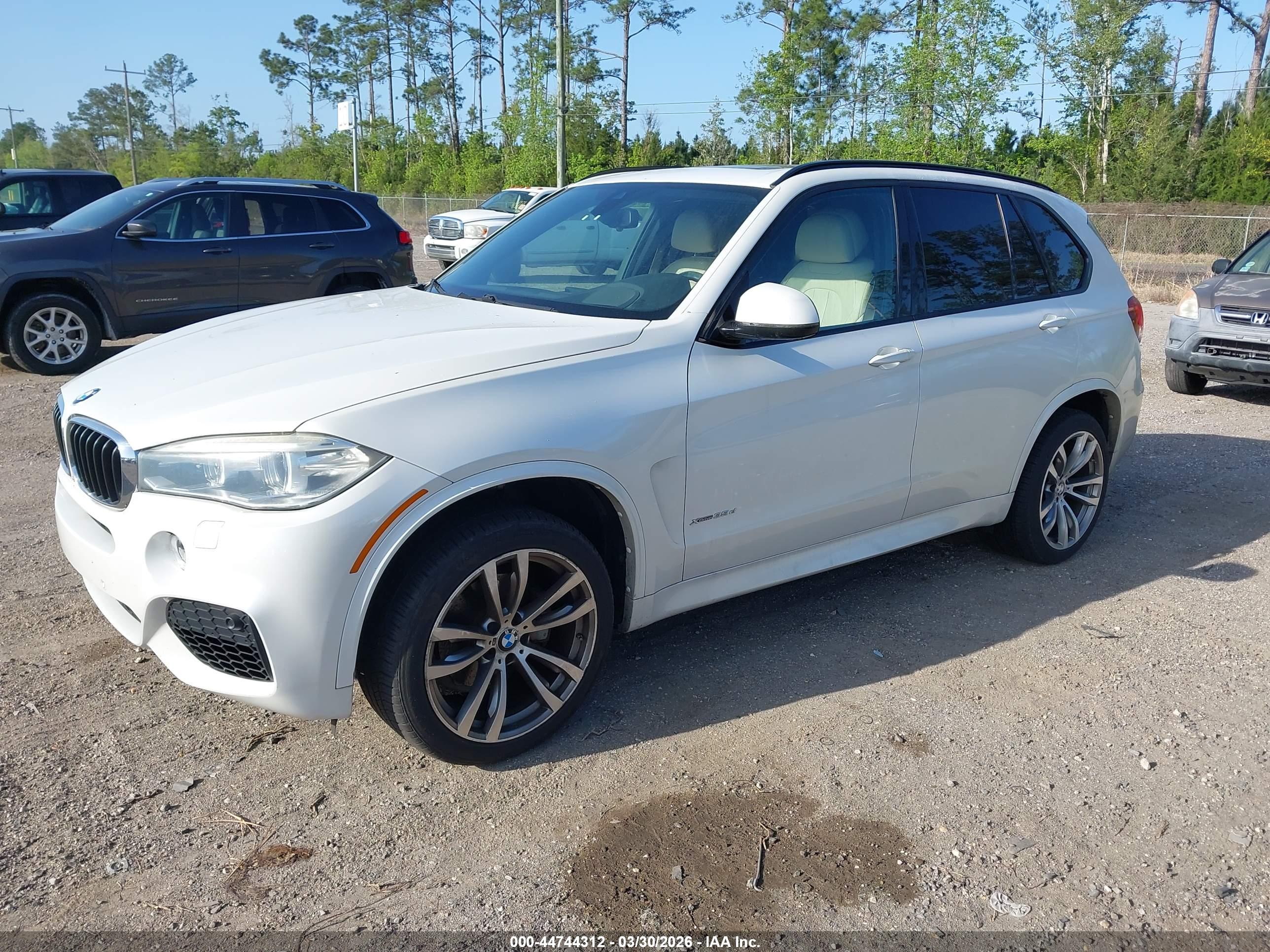 BMW X5 image 2