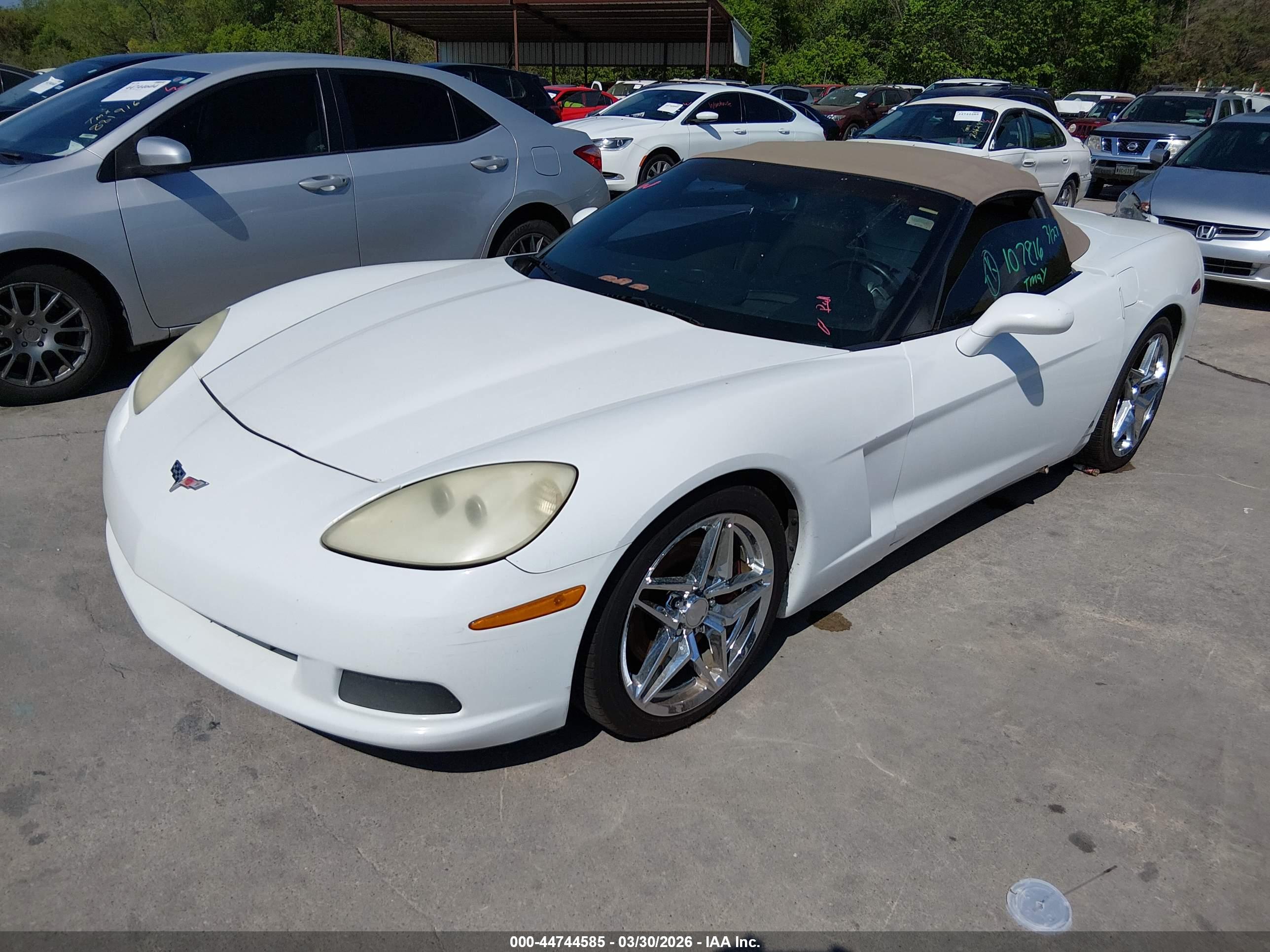 CHEVROLET CORVETTE image 2
