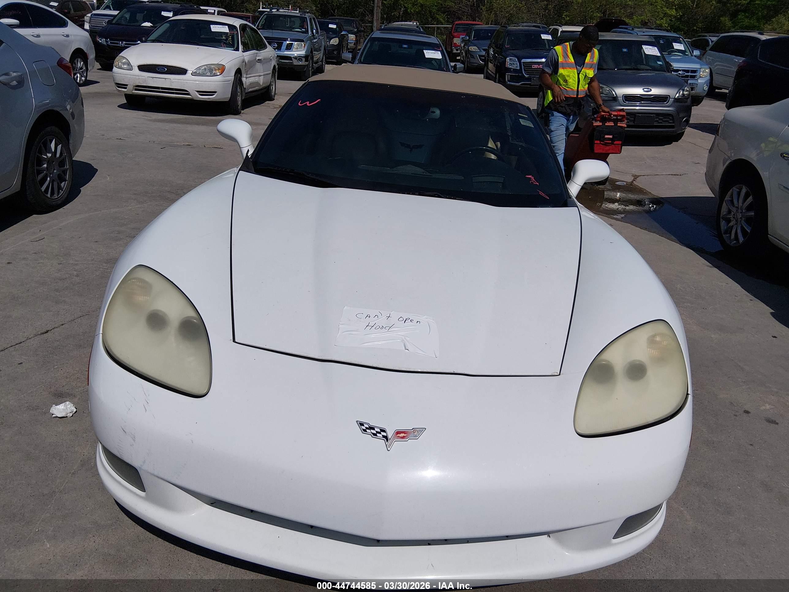 CHEVROLET CORVETTE image 6
