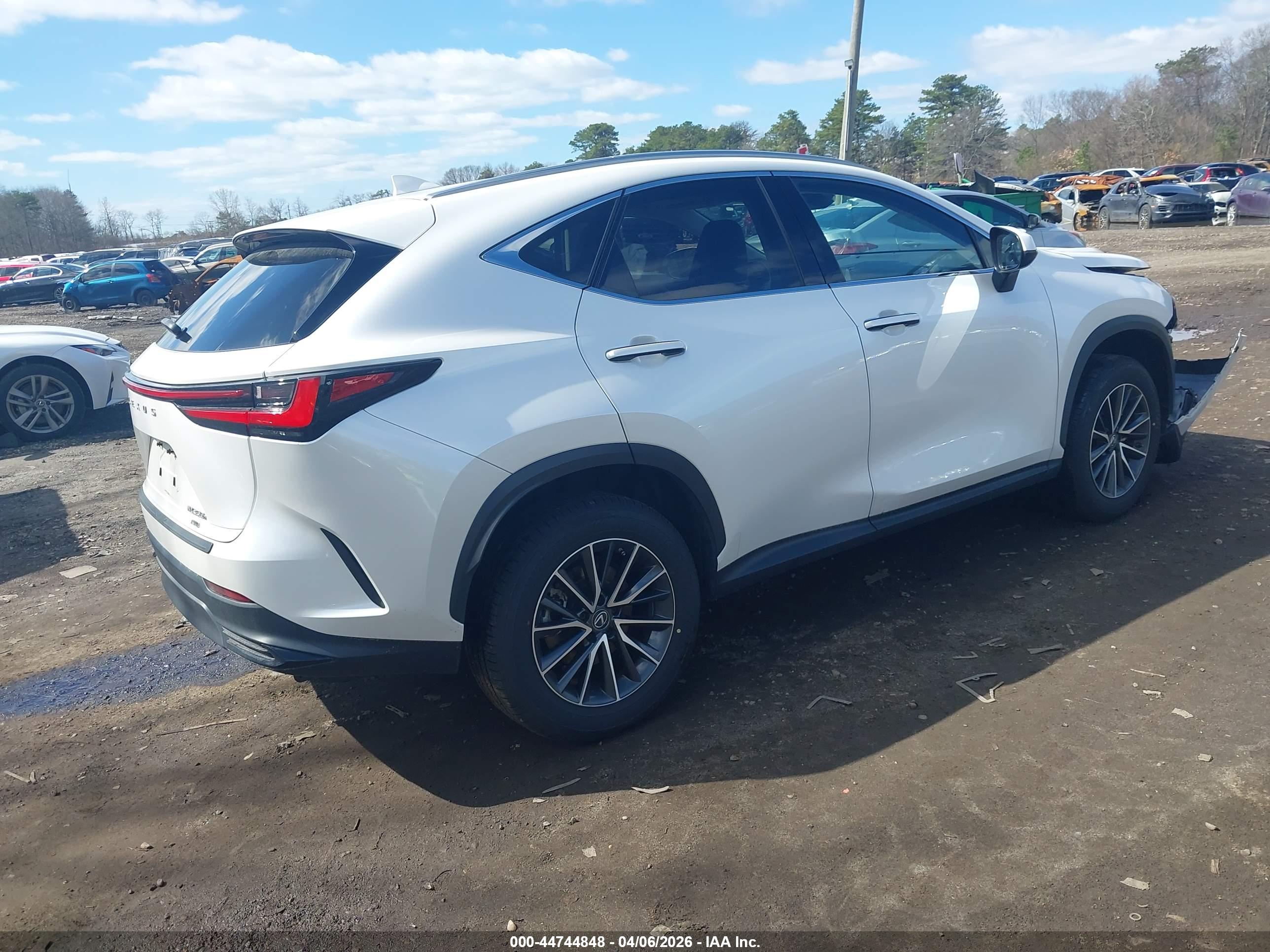 LEXUS NX image 4