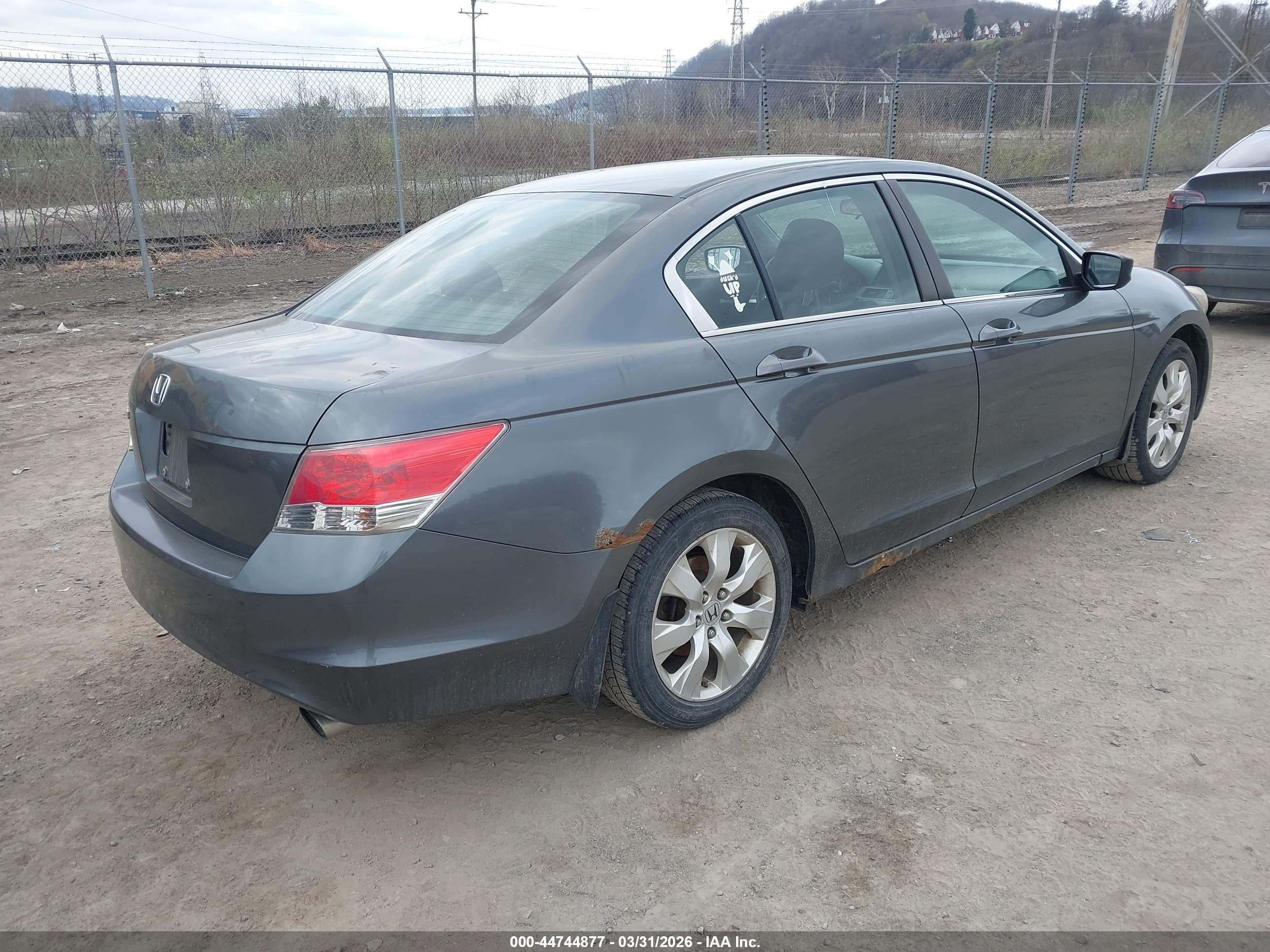 HONDA ACCORD image 4