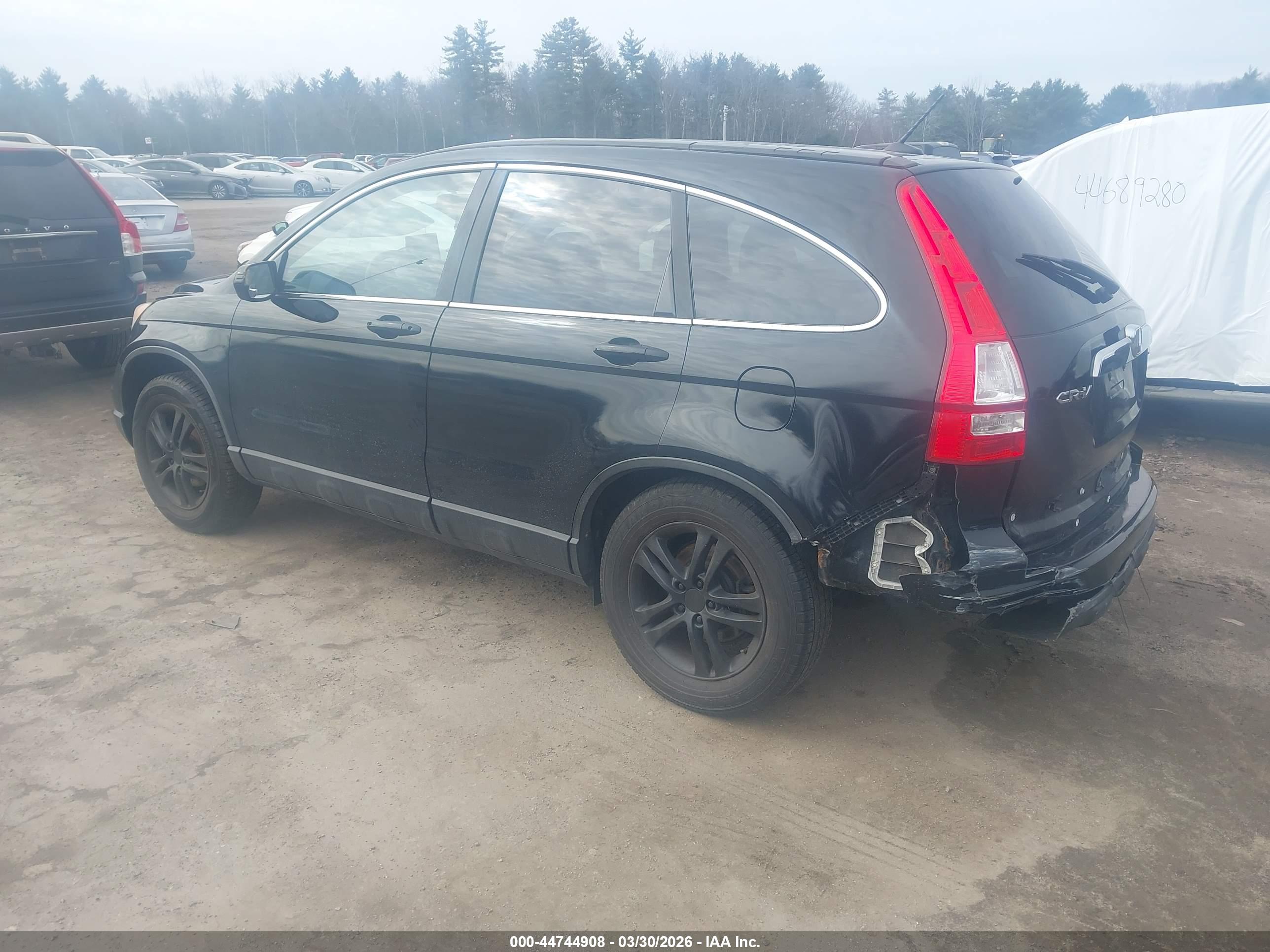 HONDA CR-V image 3