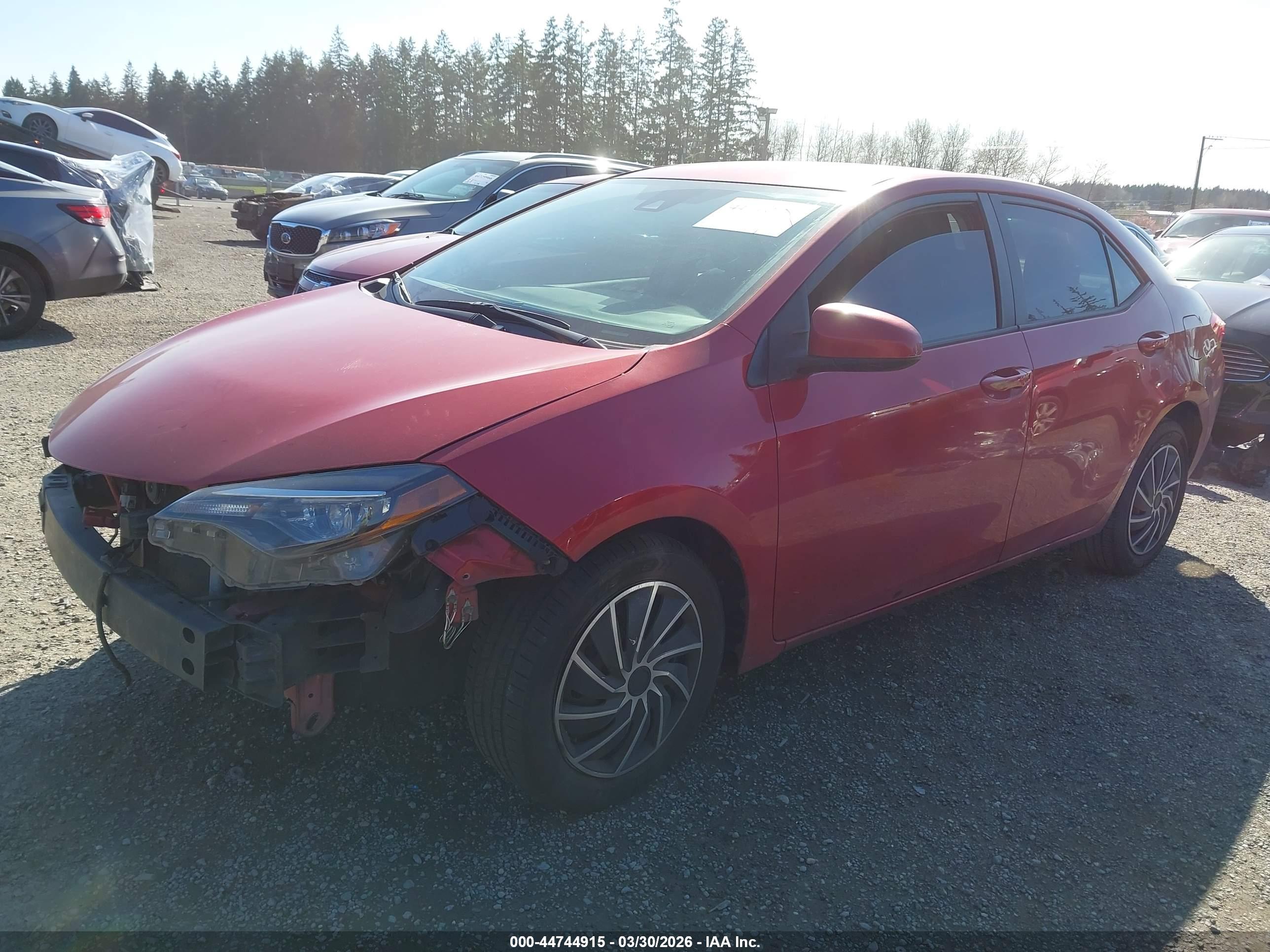 TOYOTA COROLLA image 2