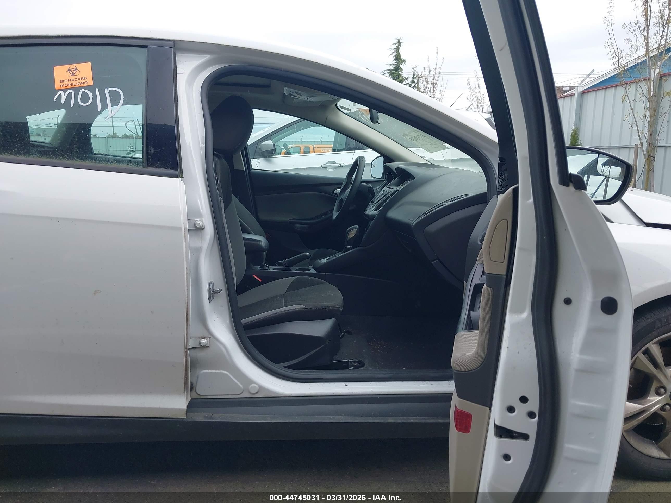 FORD FOCUS image 5