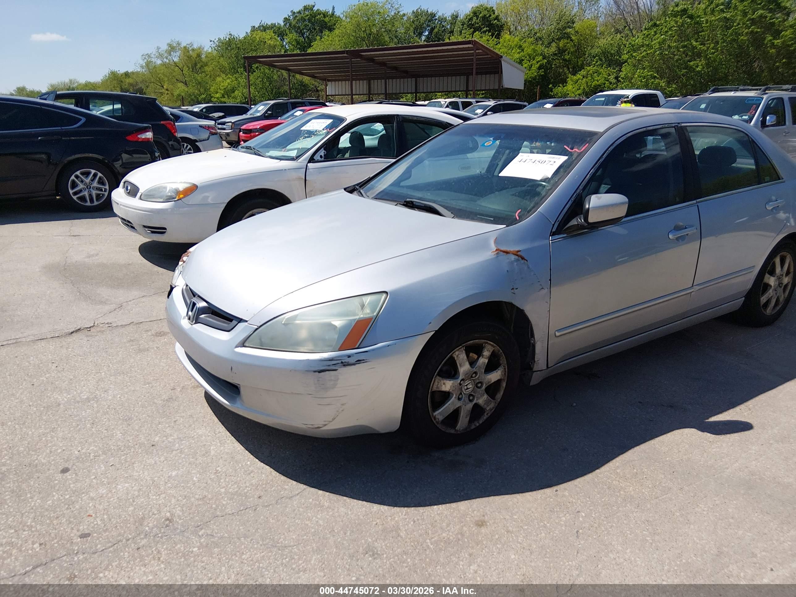 HONDA ACCORD image 6