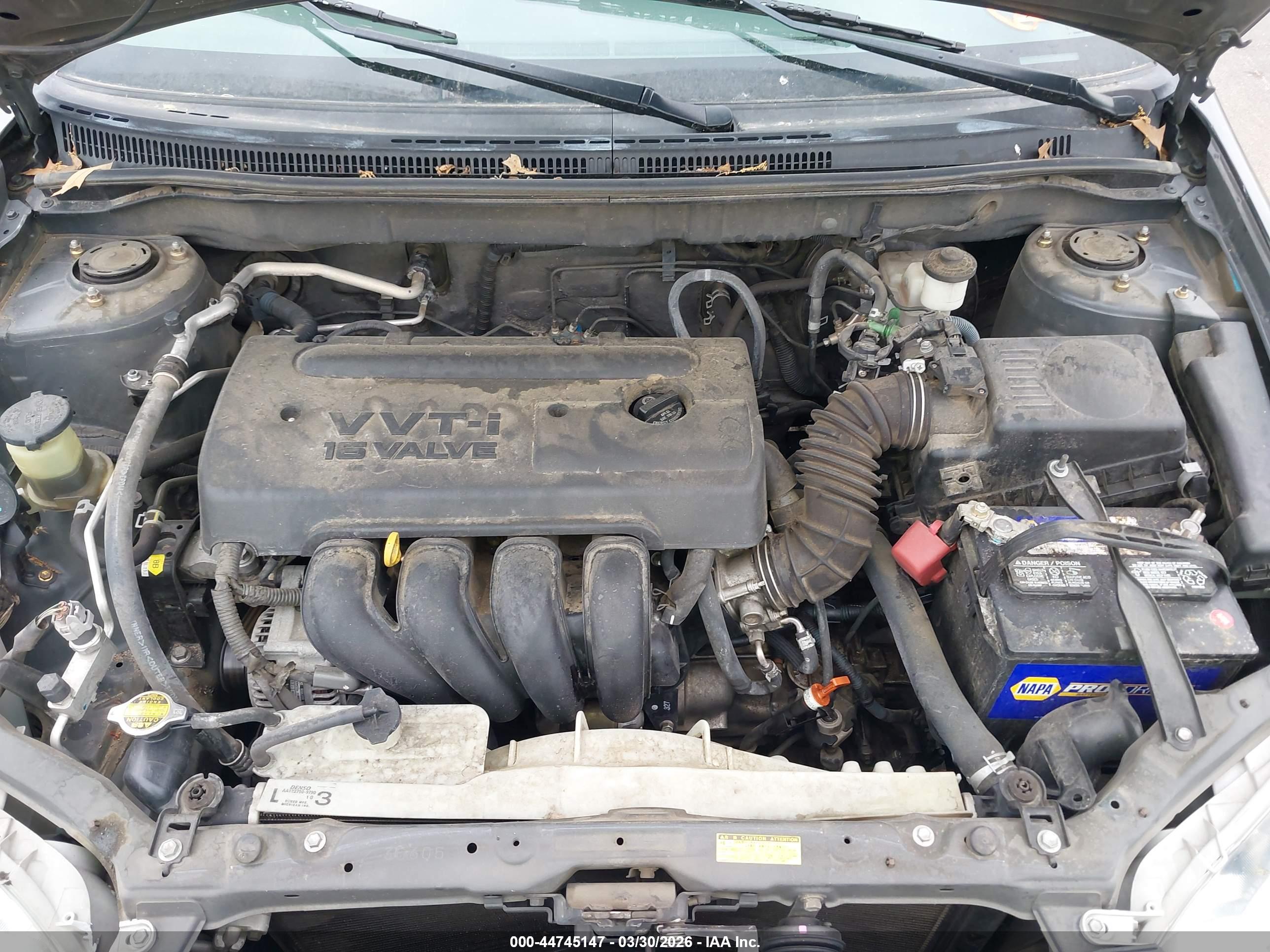 TOYOTA COROLLA image 10