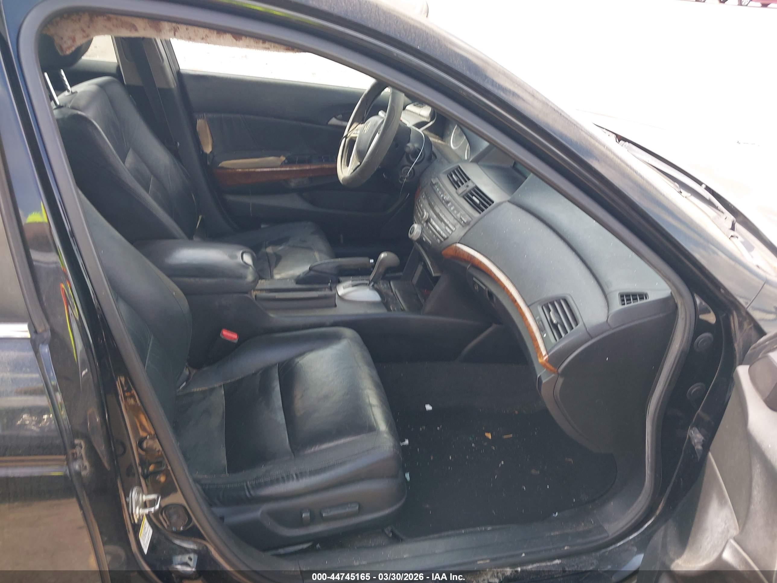 HONDA ACCORD image 5