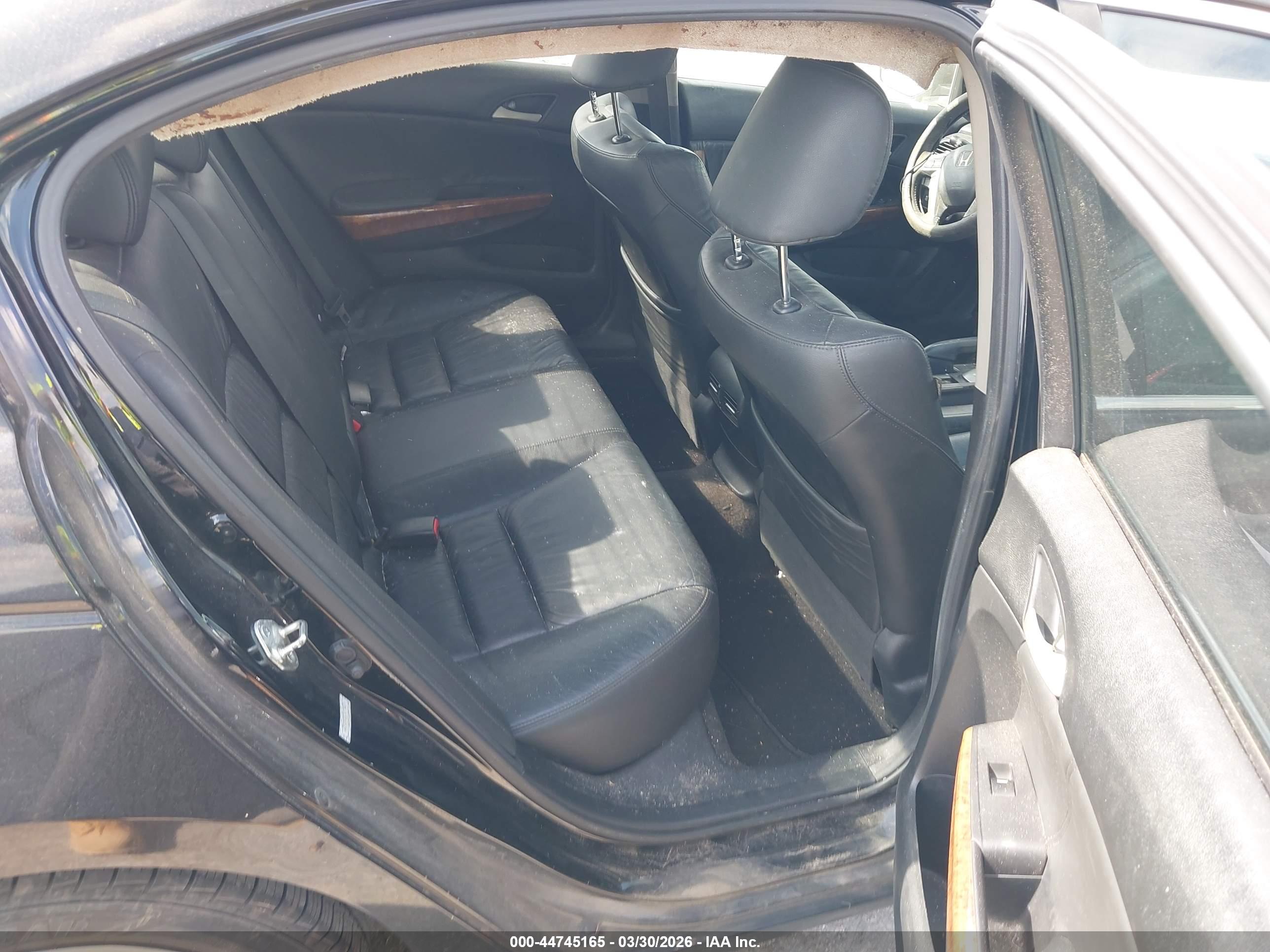 HONDA ACCORD image 8