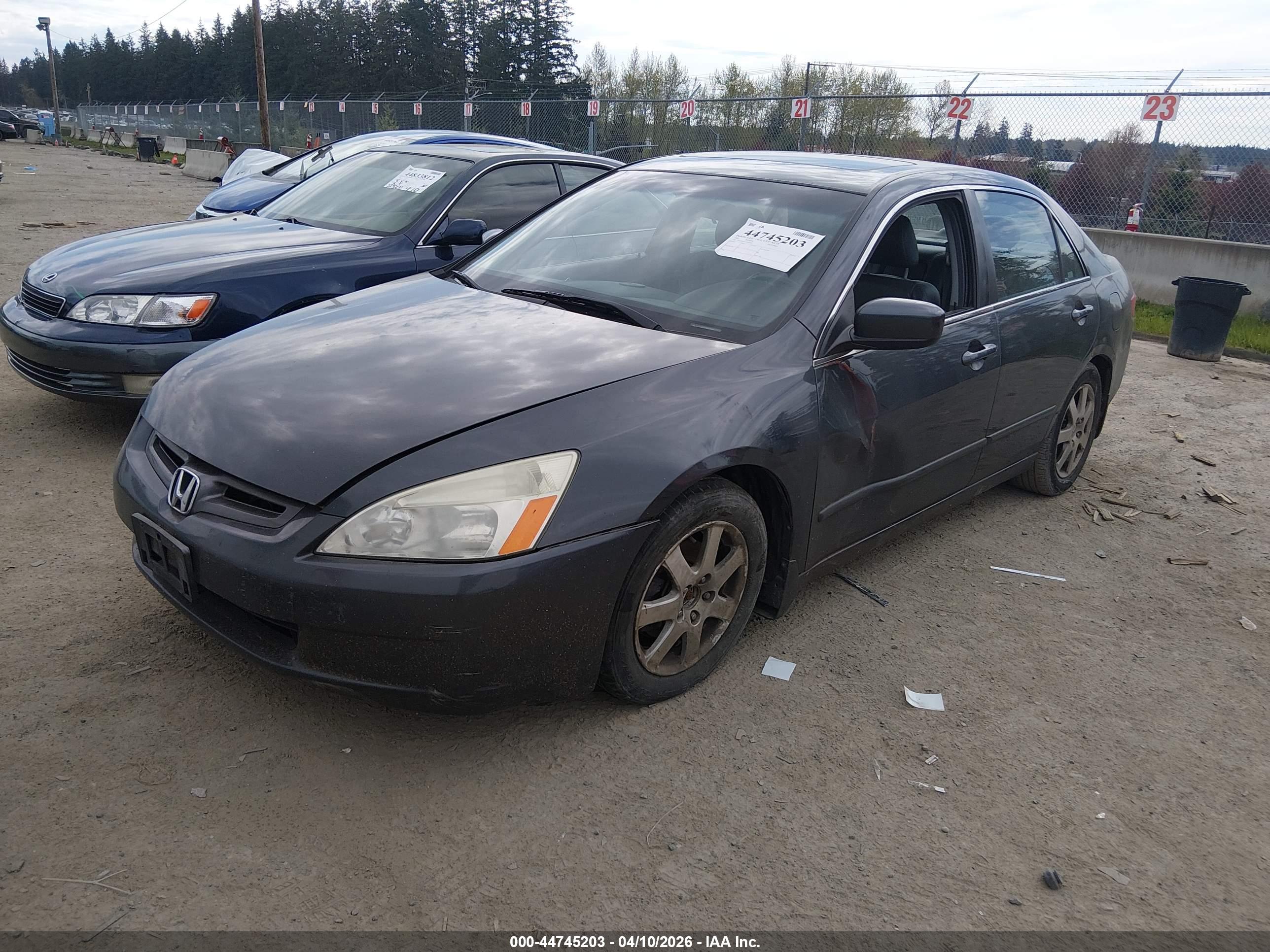 HONDA ACCORD image 2
