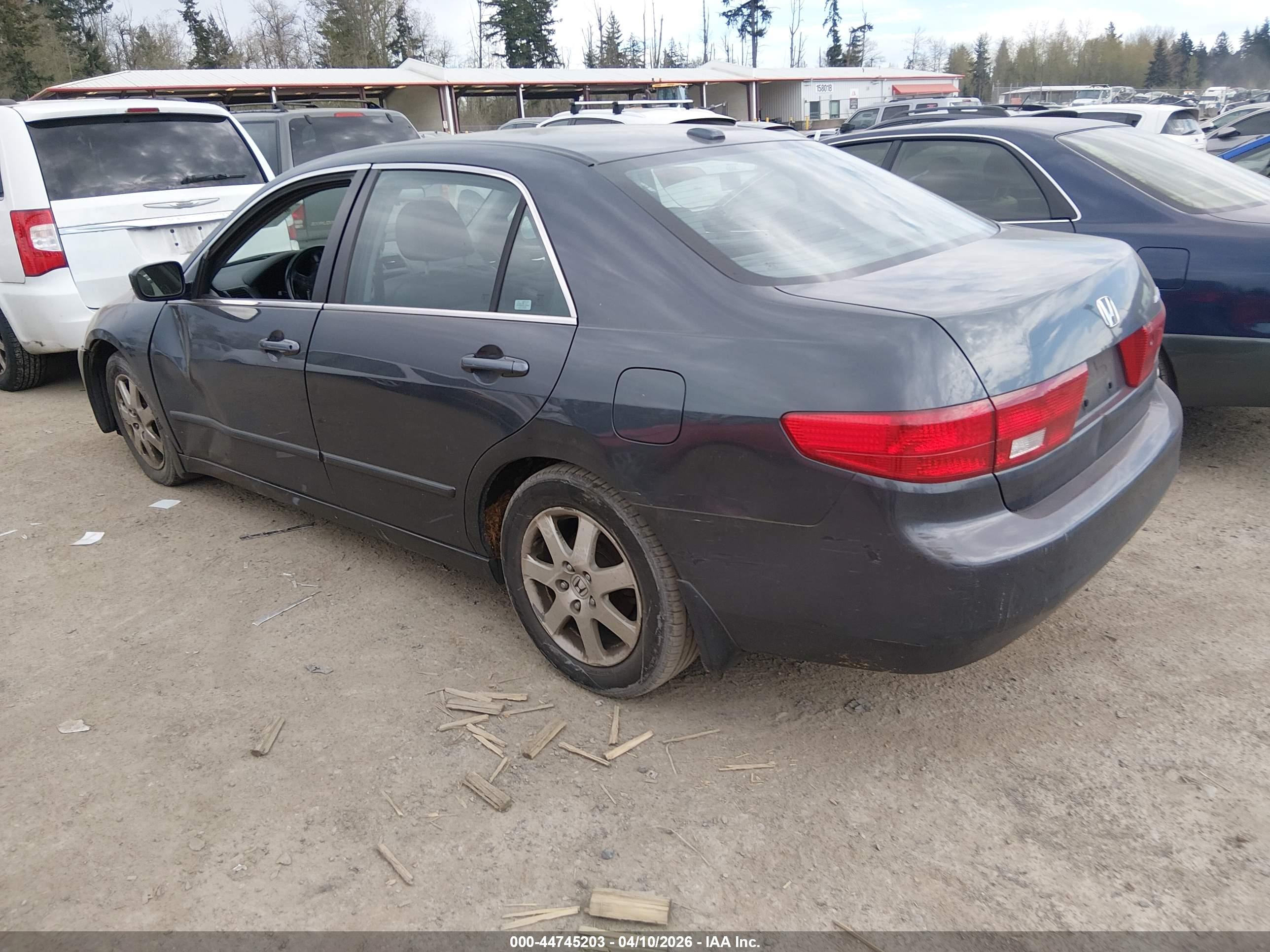 HONDA ACCORD image 3