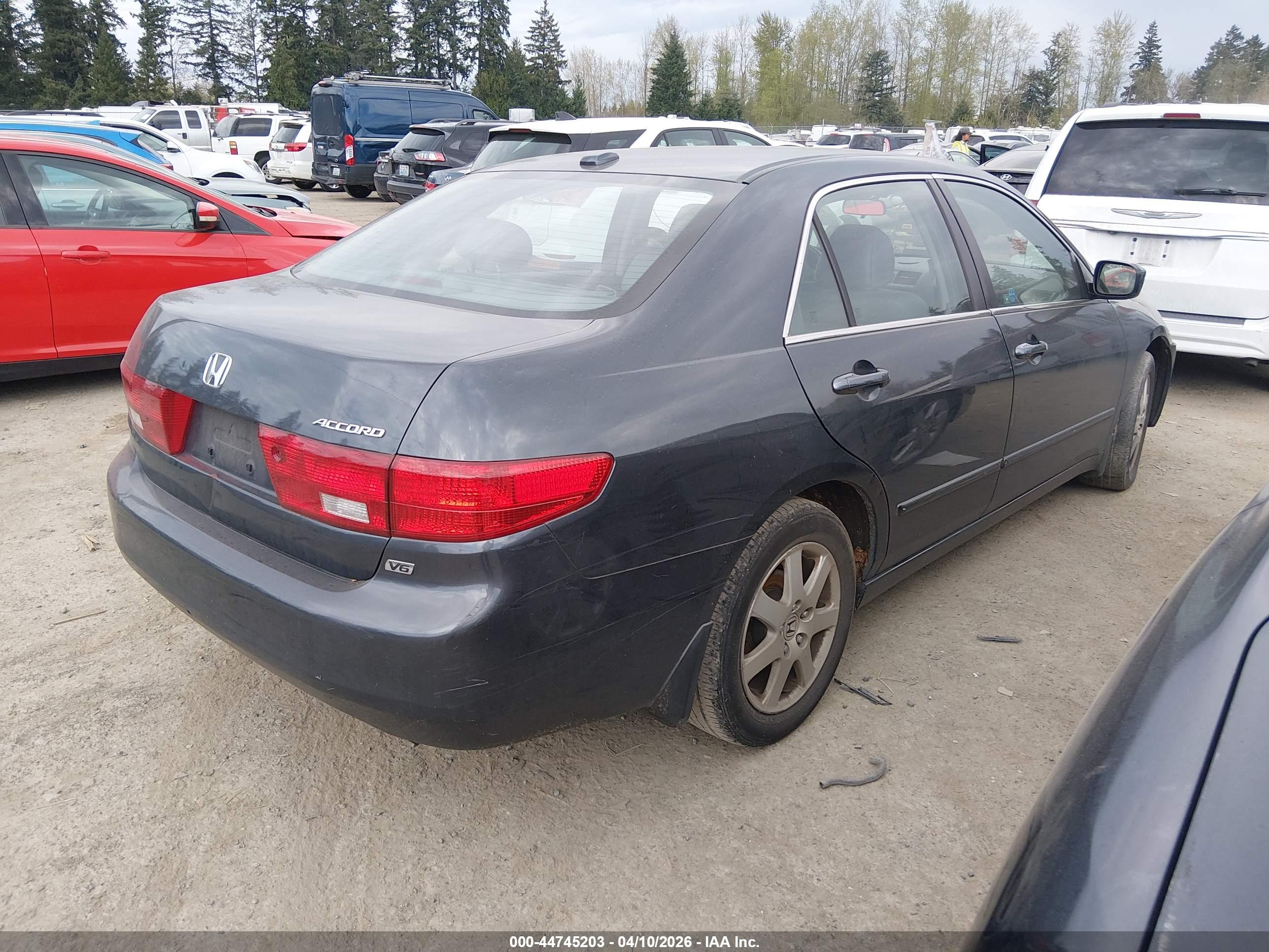 HONDA ACCORD image 4