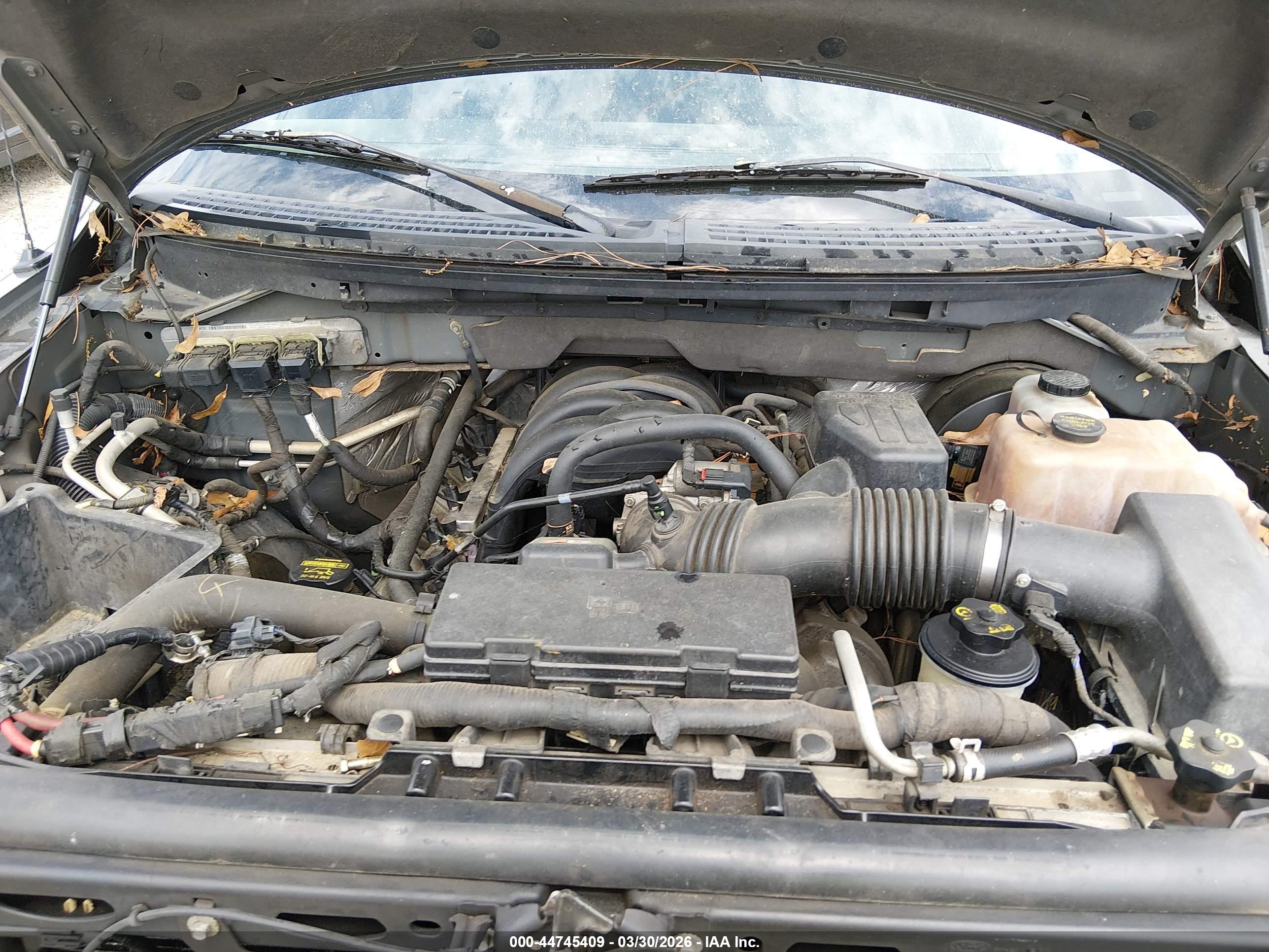 FORD F-150 image 10