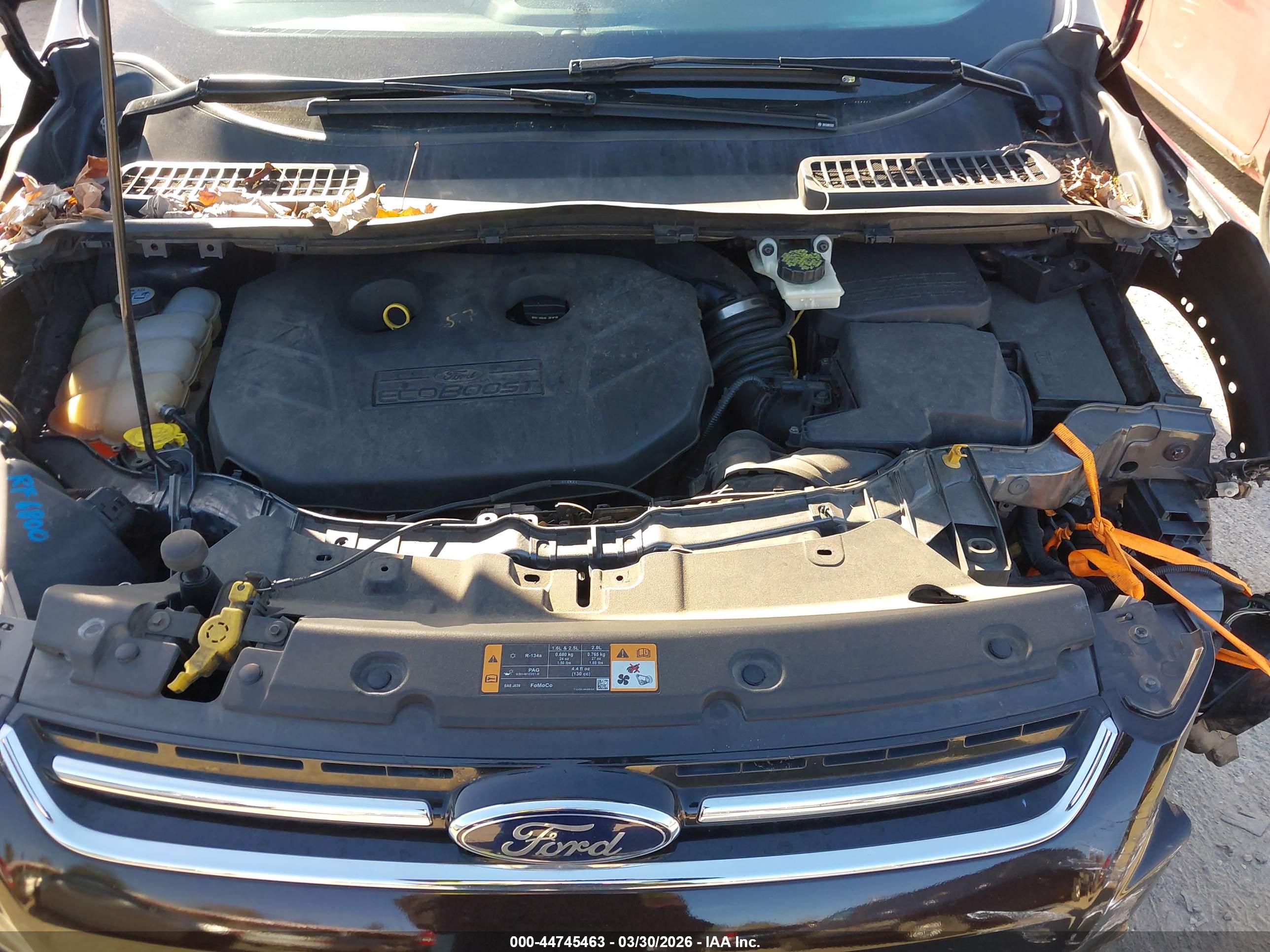 FORD ESCAPE image 10