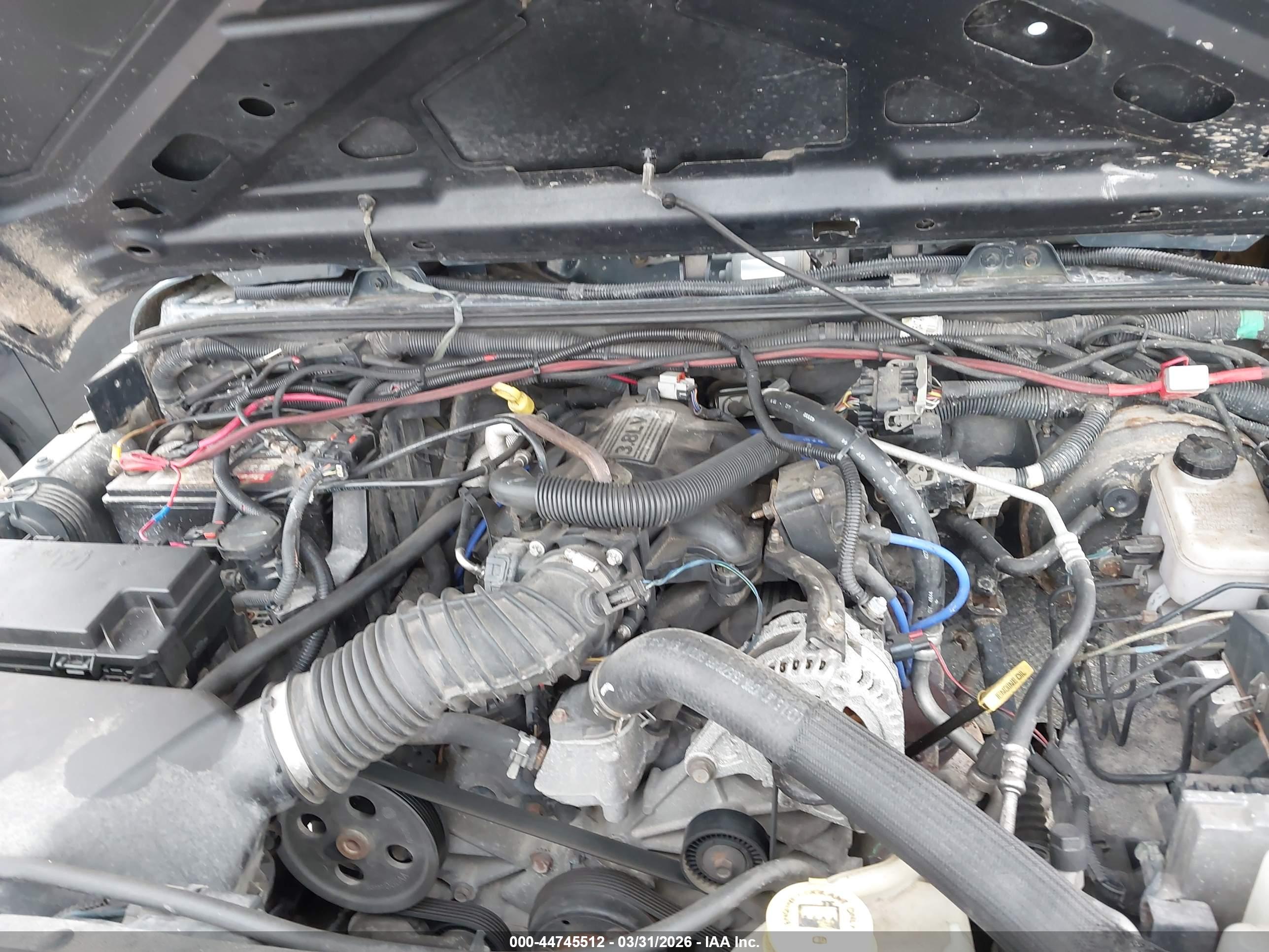 JEEP WRANGLER image 10