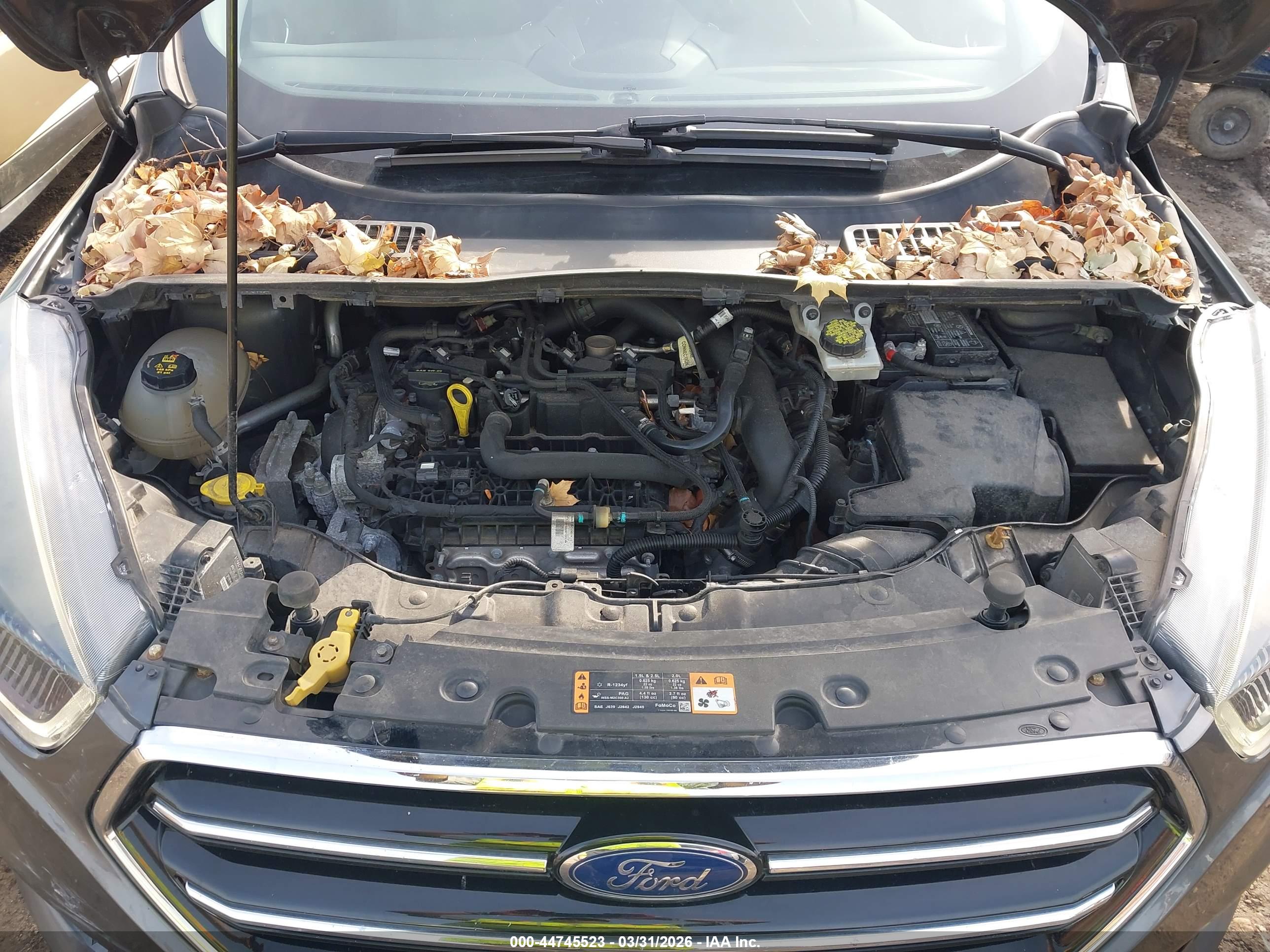 FORD ESCAPE image 10