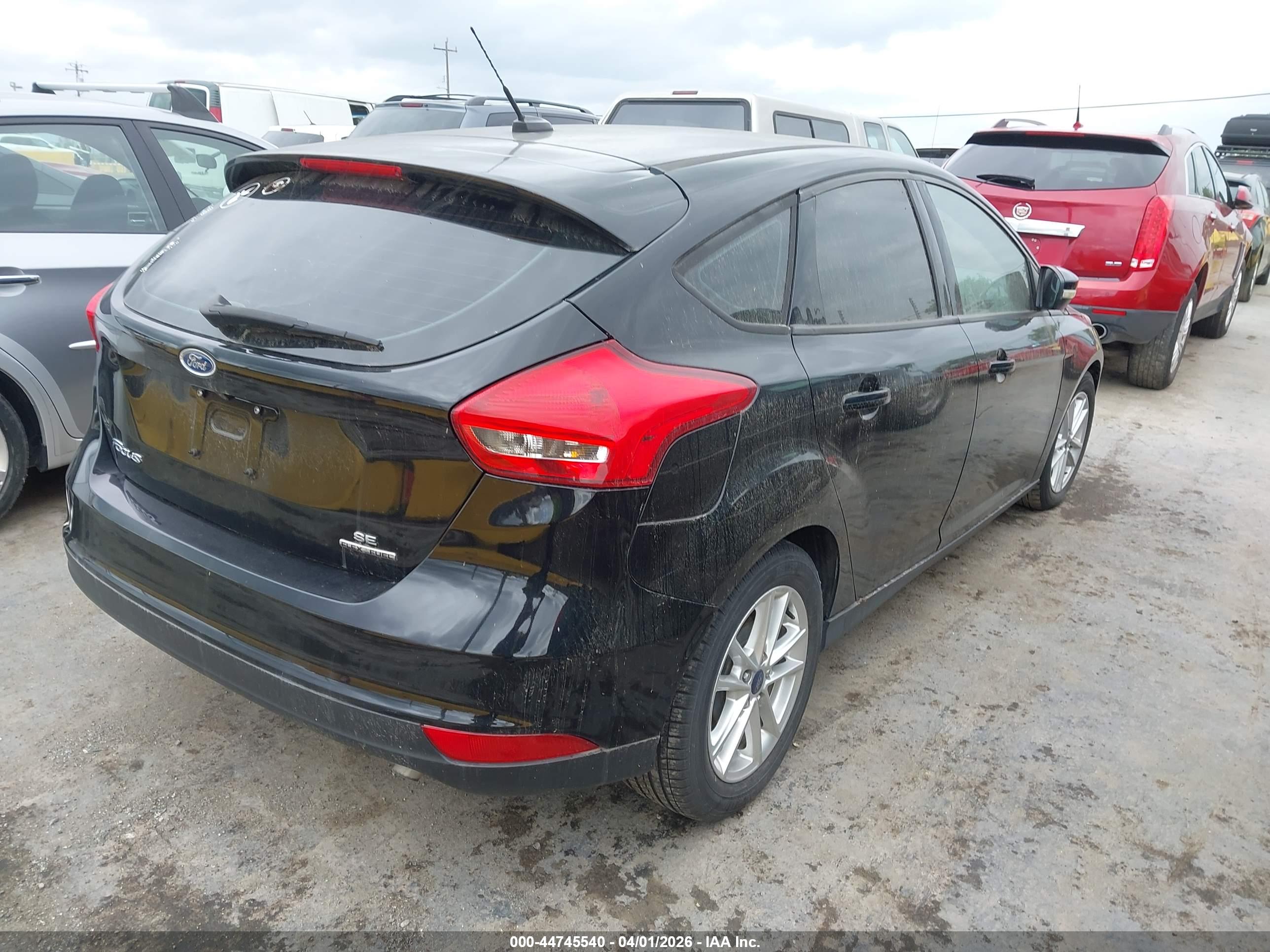 FORD FOCUS image 4