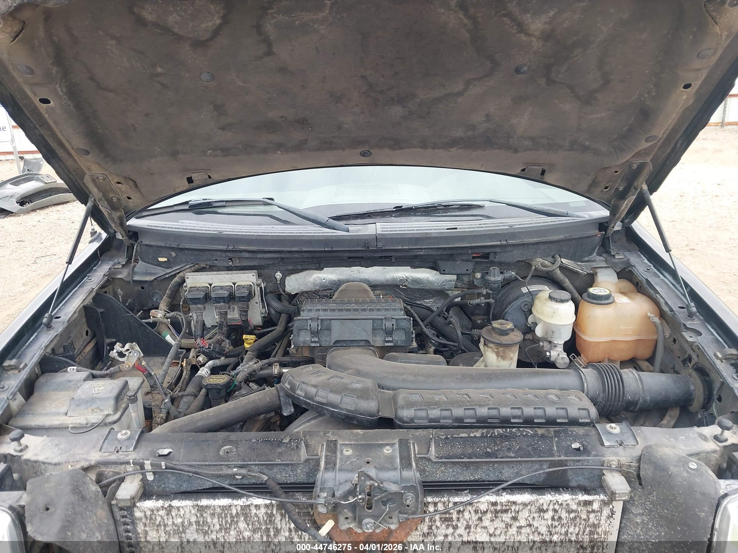 FORD F-150 image 10