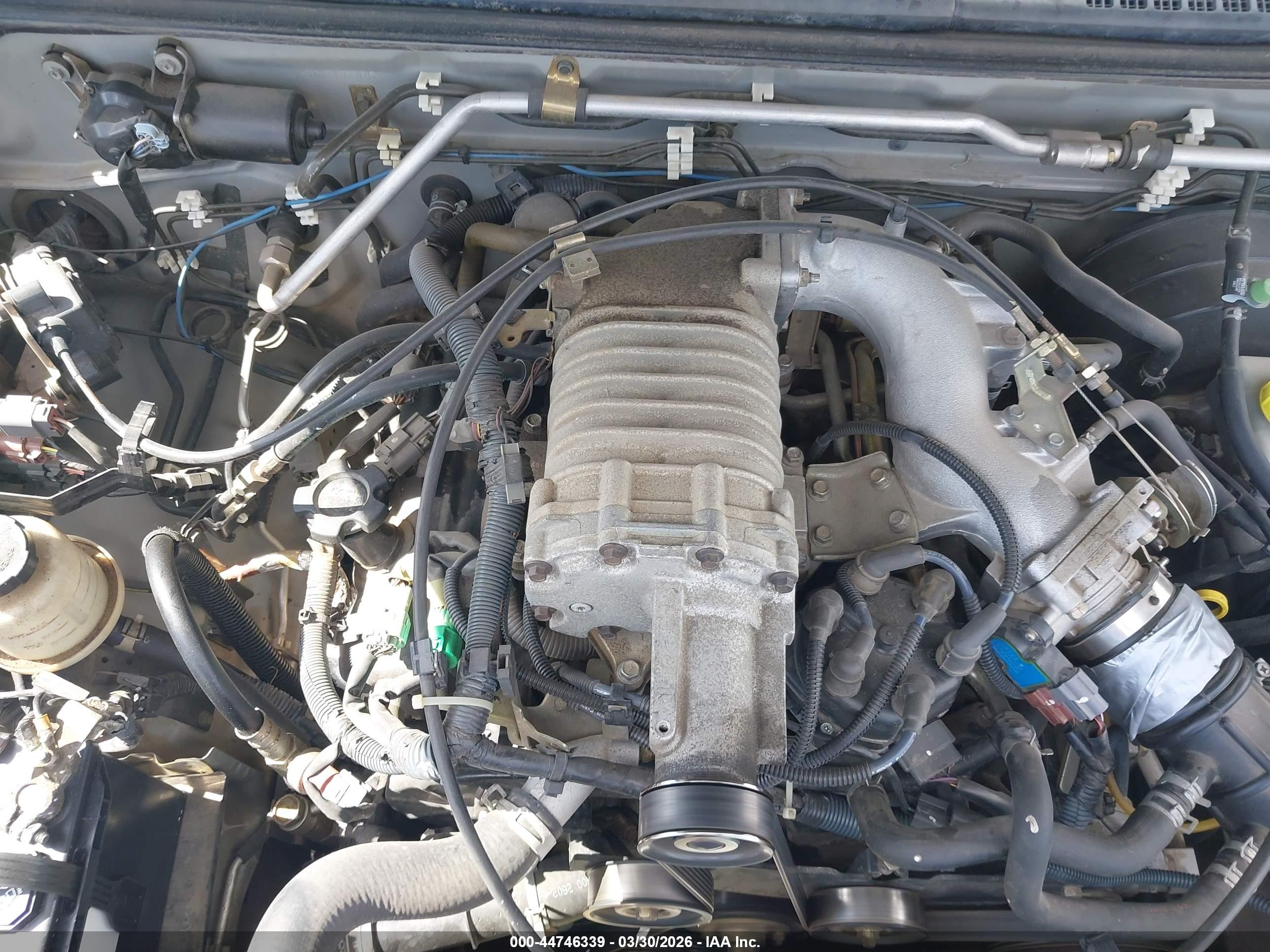 NISSAN XTERRA image 10