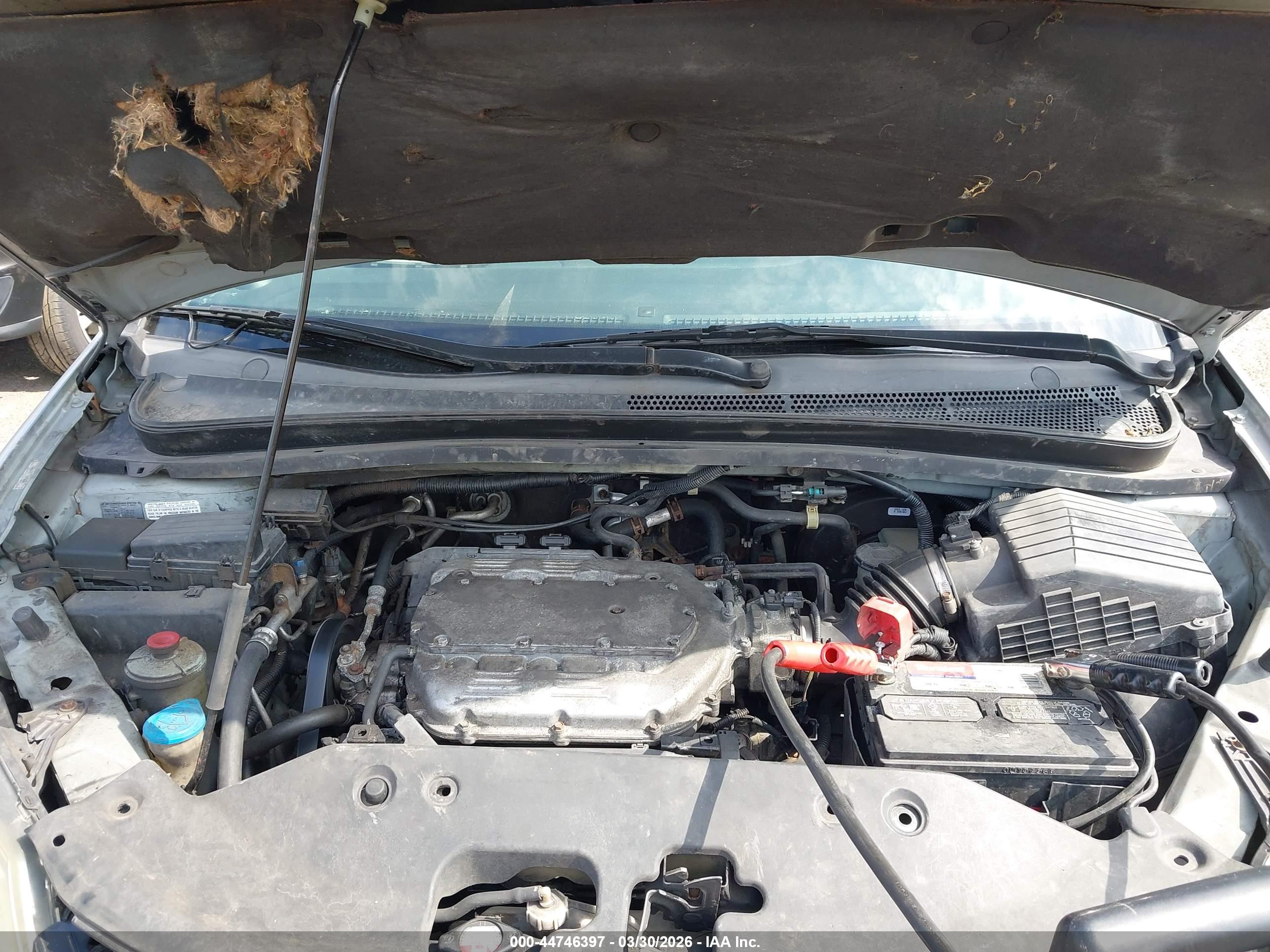 HONDA ODYSSEY image 10