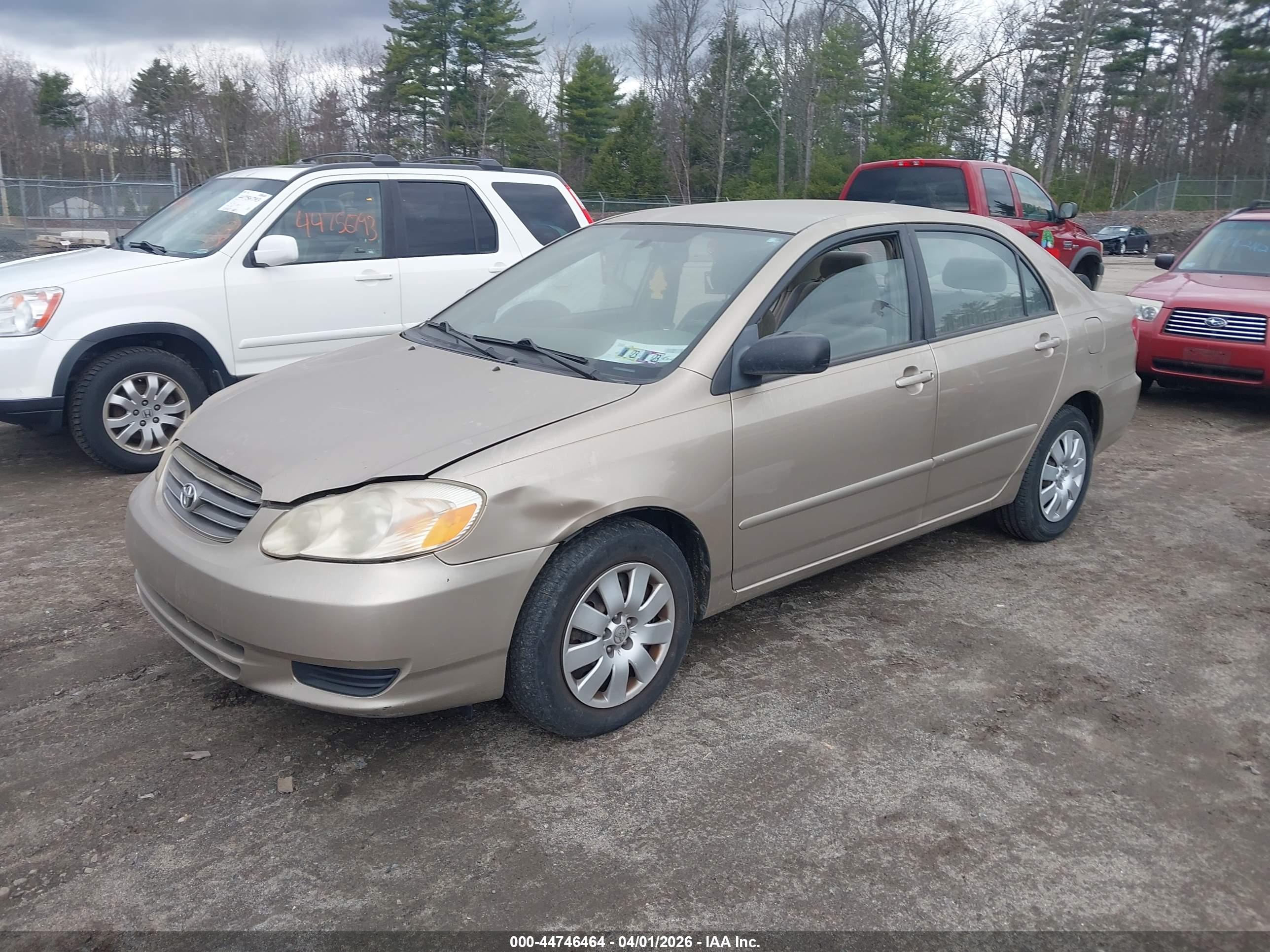 TOYOTA COROLLA image 2