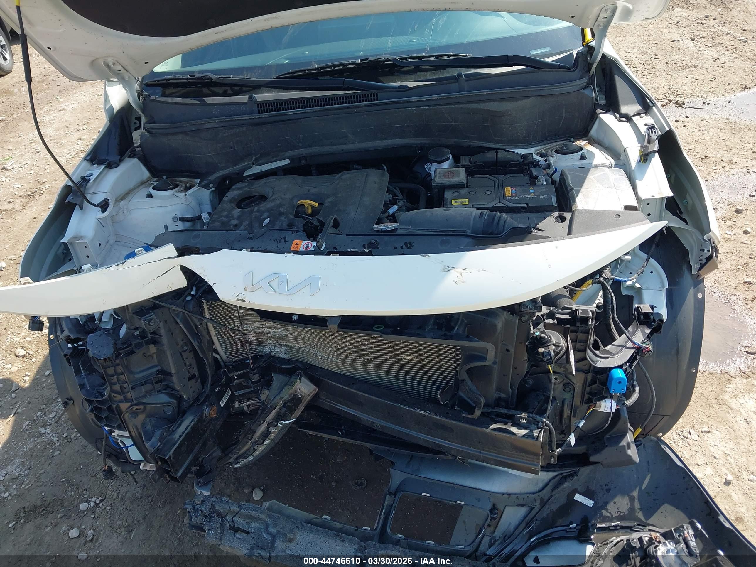 KIA SELTOS image 10