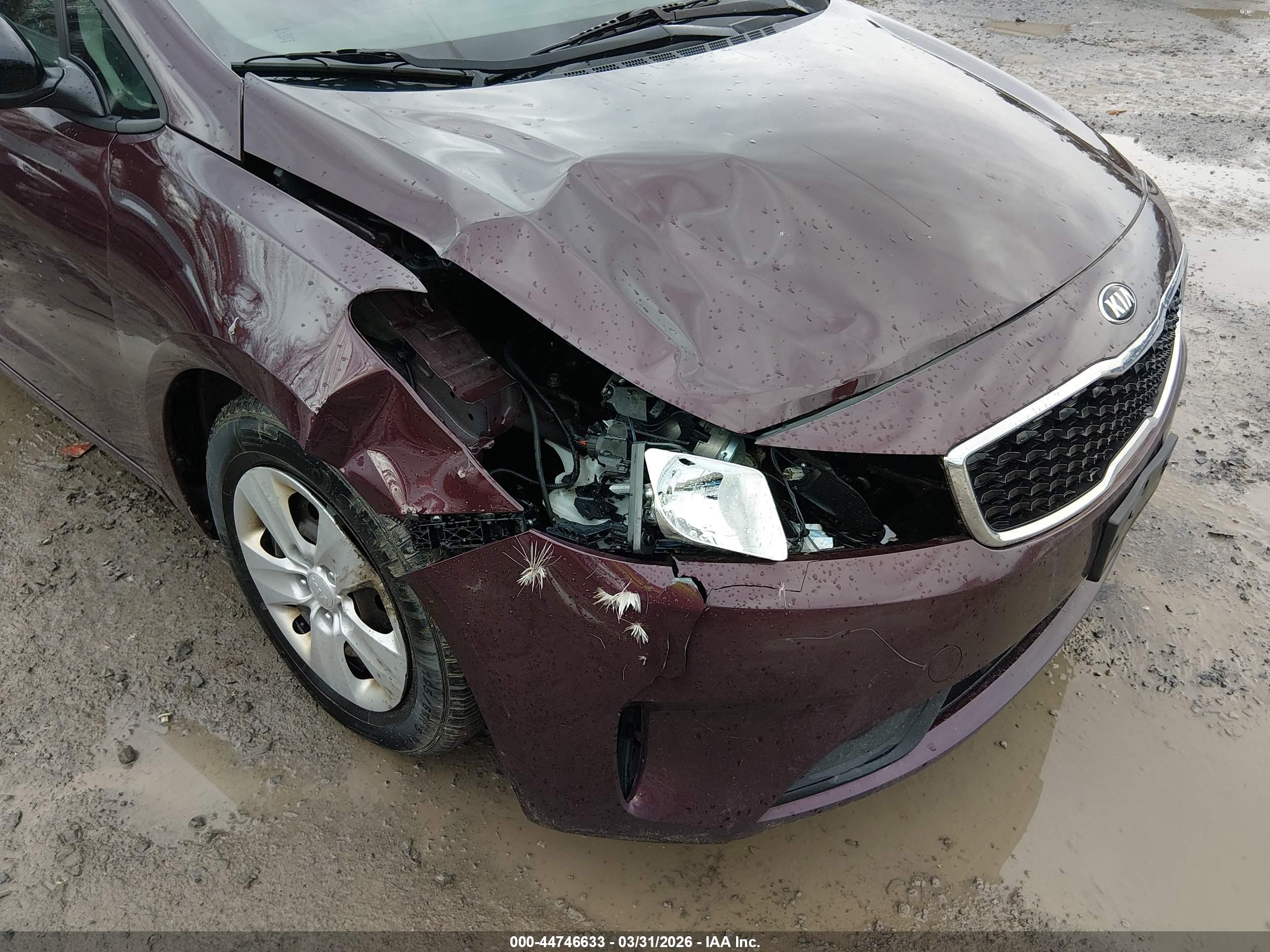 KIA FORTE image 6
