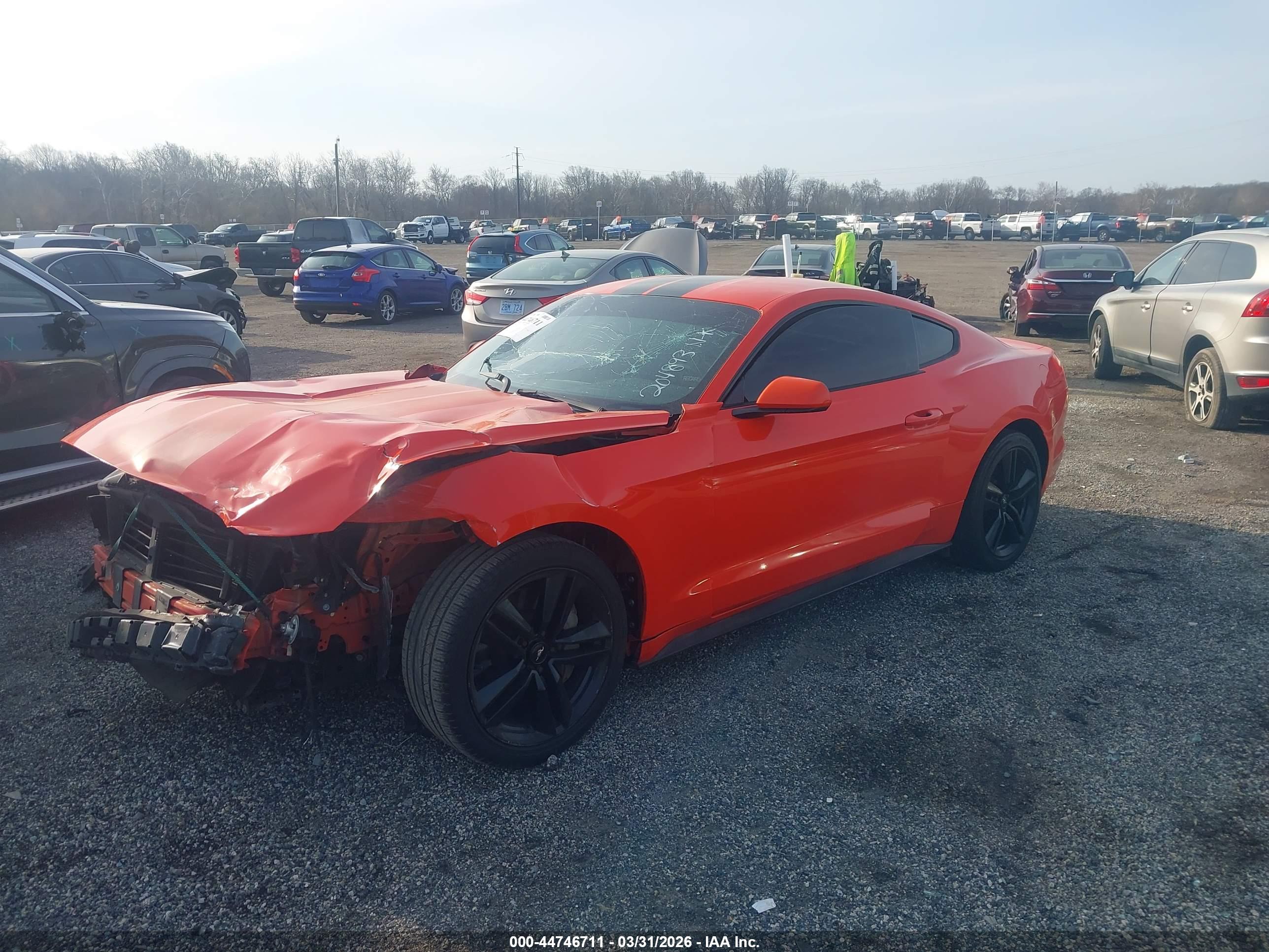 FORD MUSTANG image 2