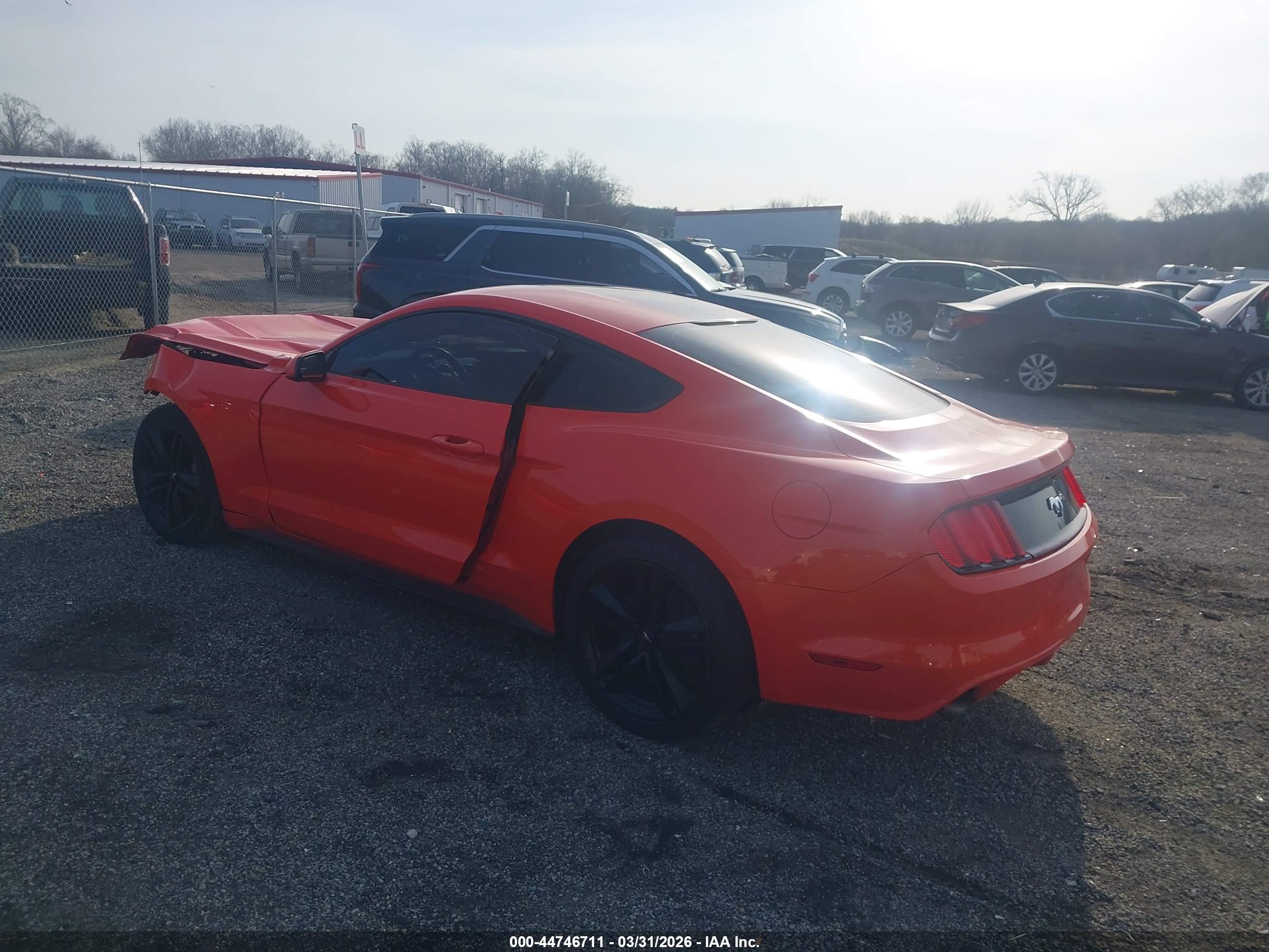 FORD MUSTANG image 3