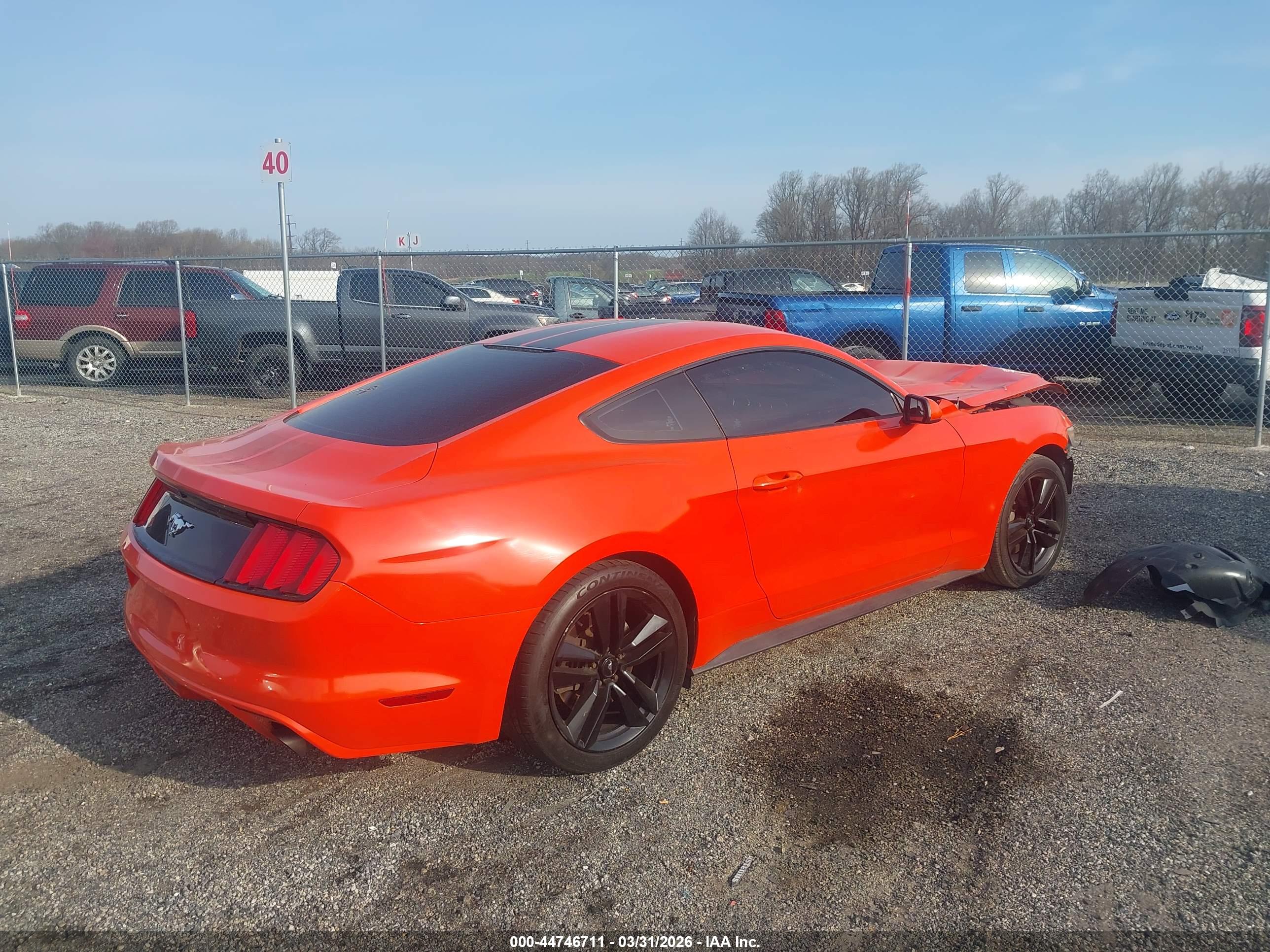 FORD MUSTANG image 4