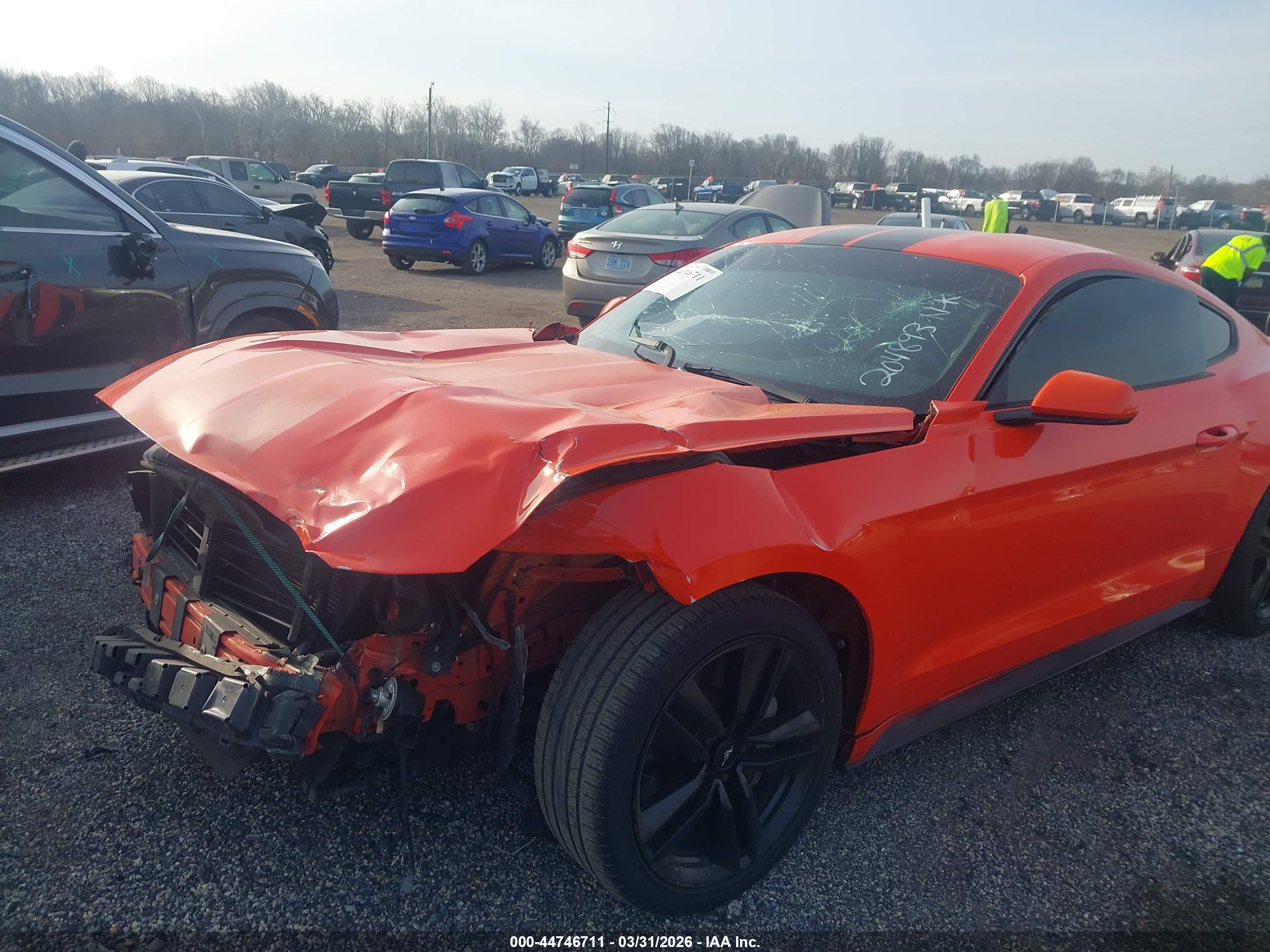 FORD MUSTANG image 6