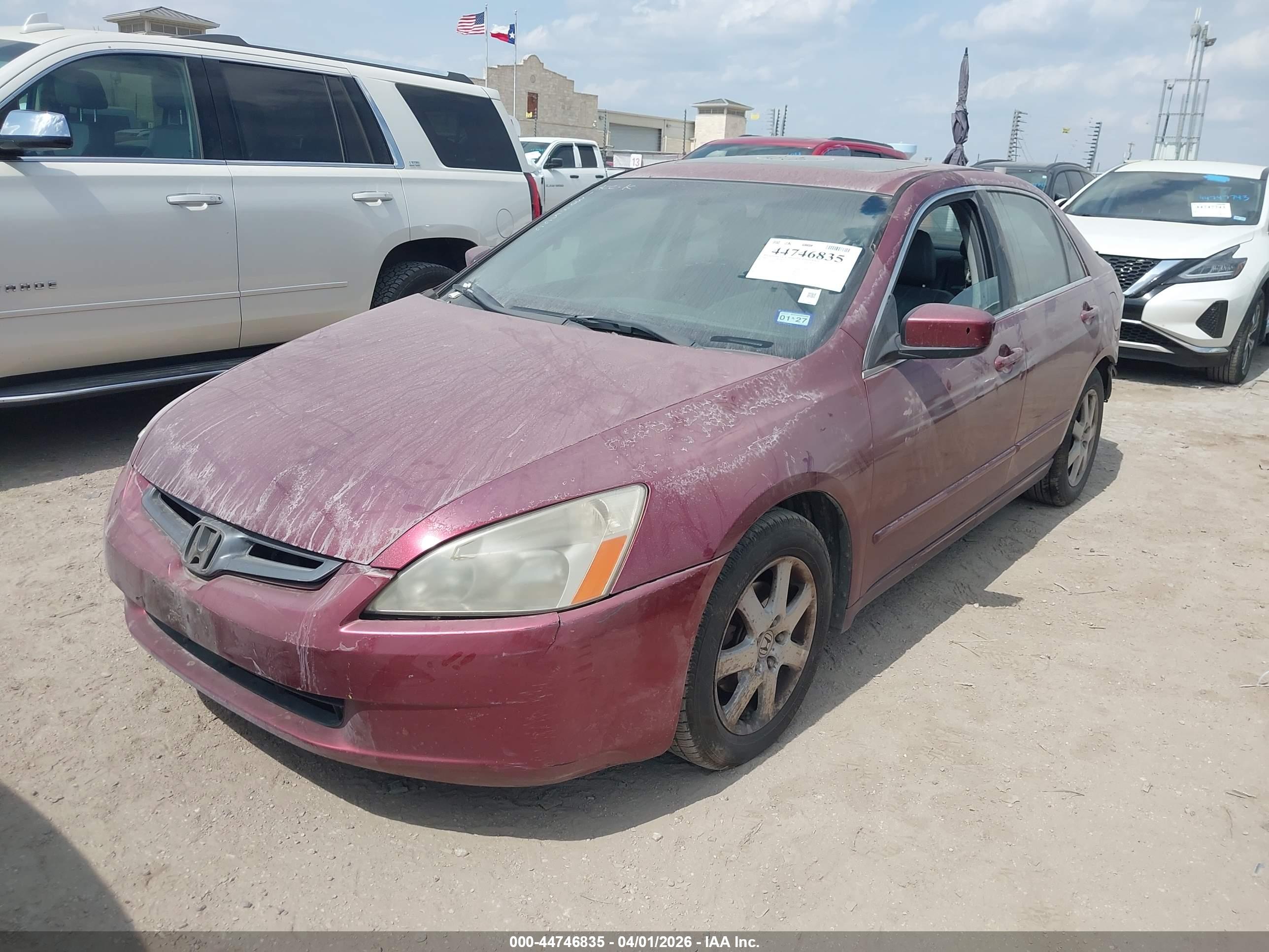 HONDA ACCORD image 2