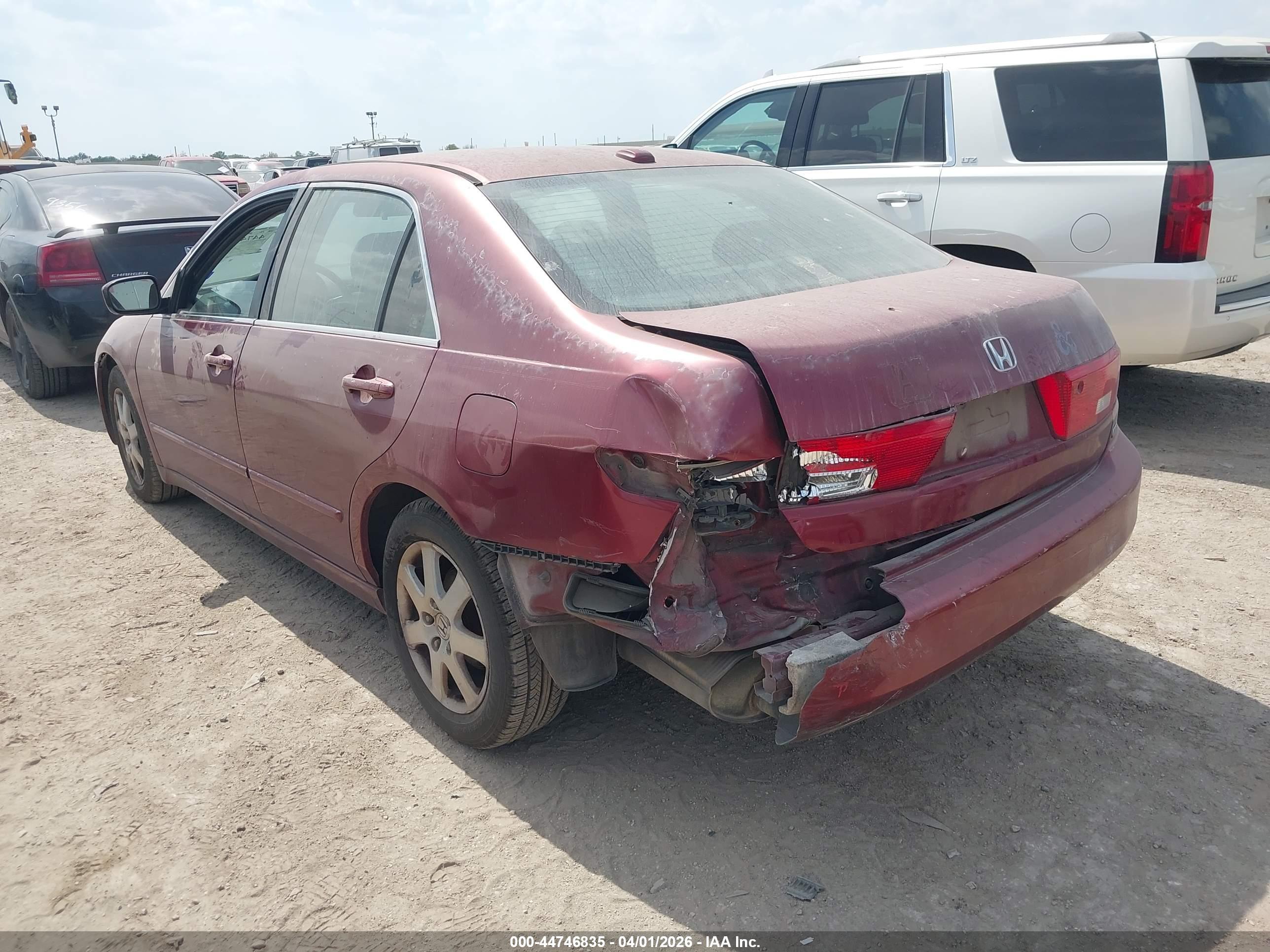 HONDA ACCORD image 3