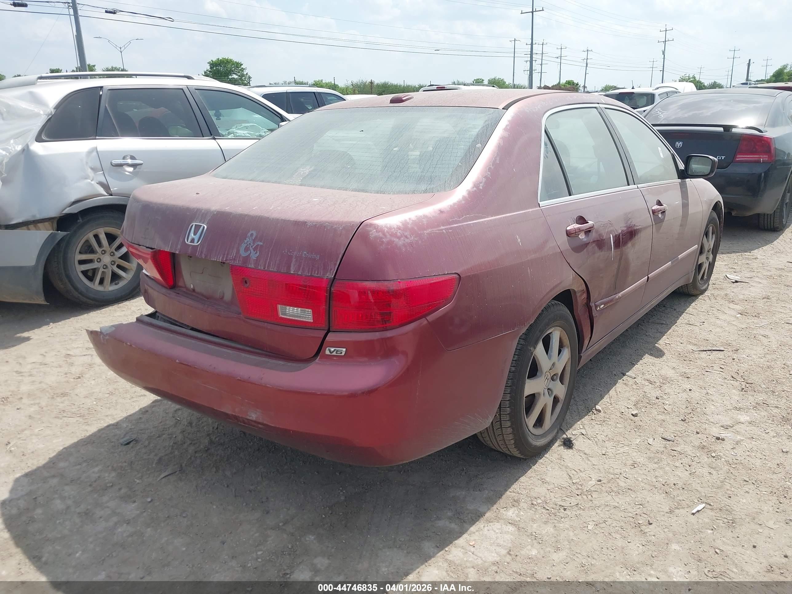HONDA ACCORD image 4