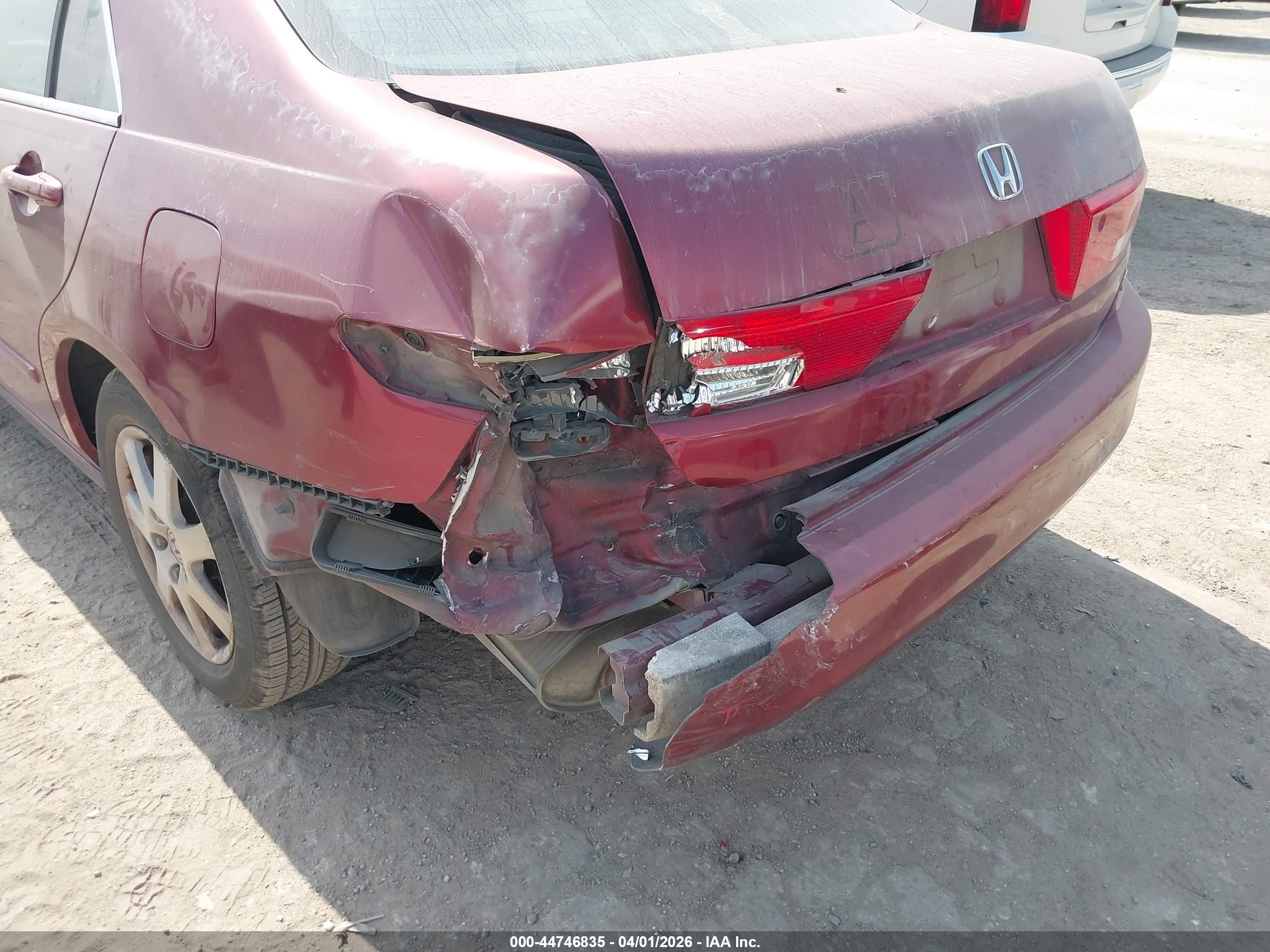 HONDA ACCORD image 6