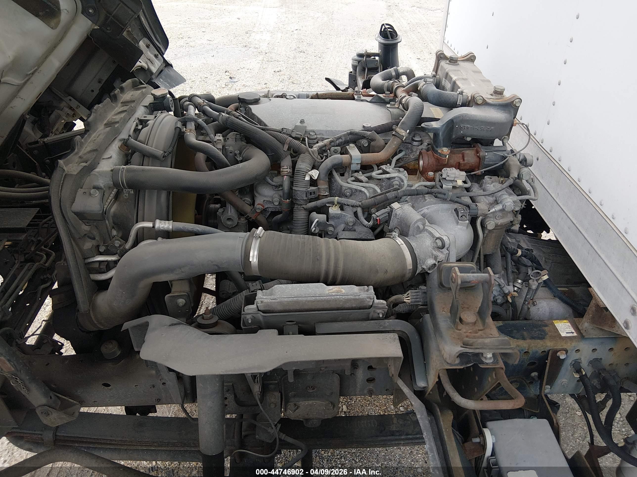 ISUZU NPR image 10