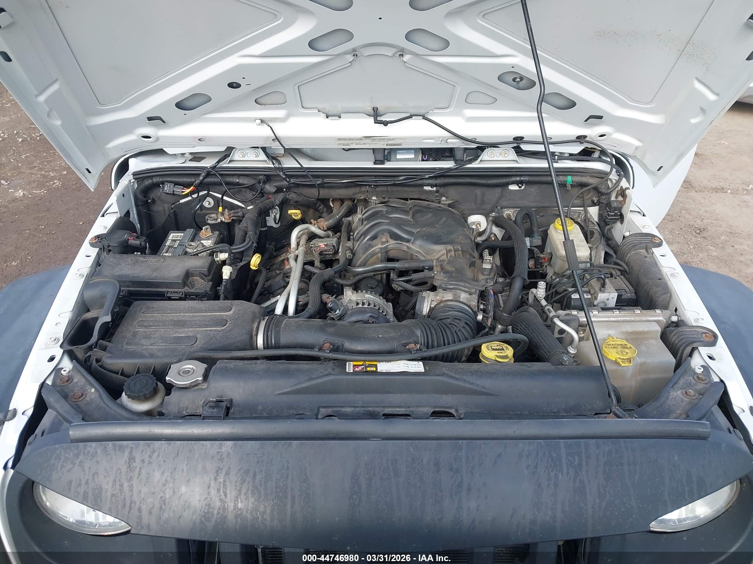 JEEP WRANGLER image 10