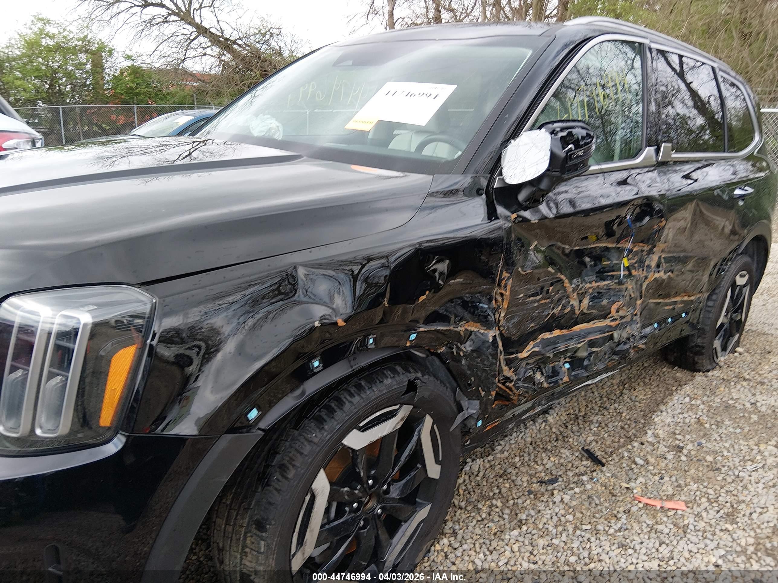 KIA TELLURIDE image 6