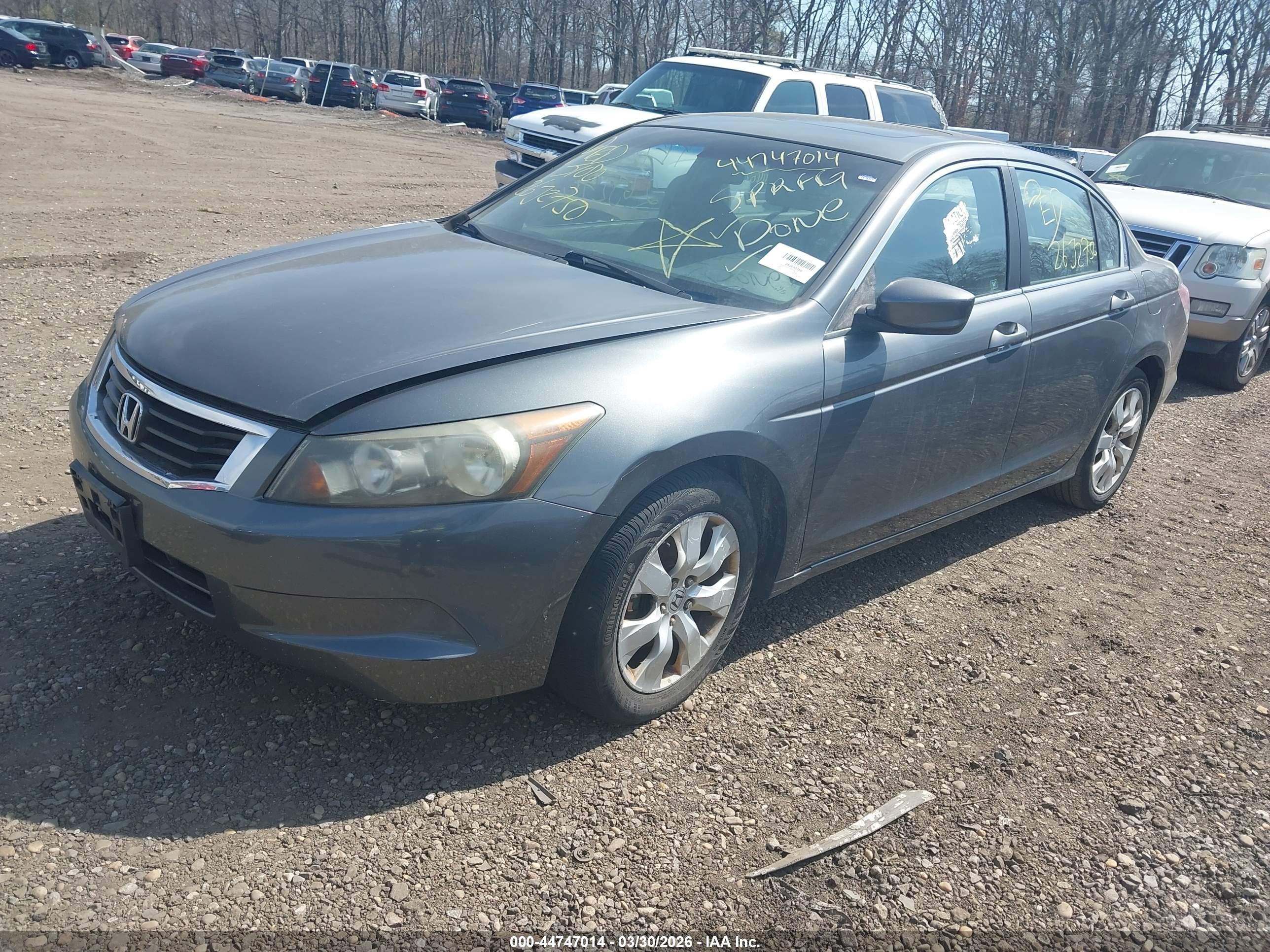 HONDA ACCORD image 2