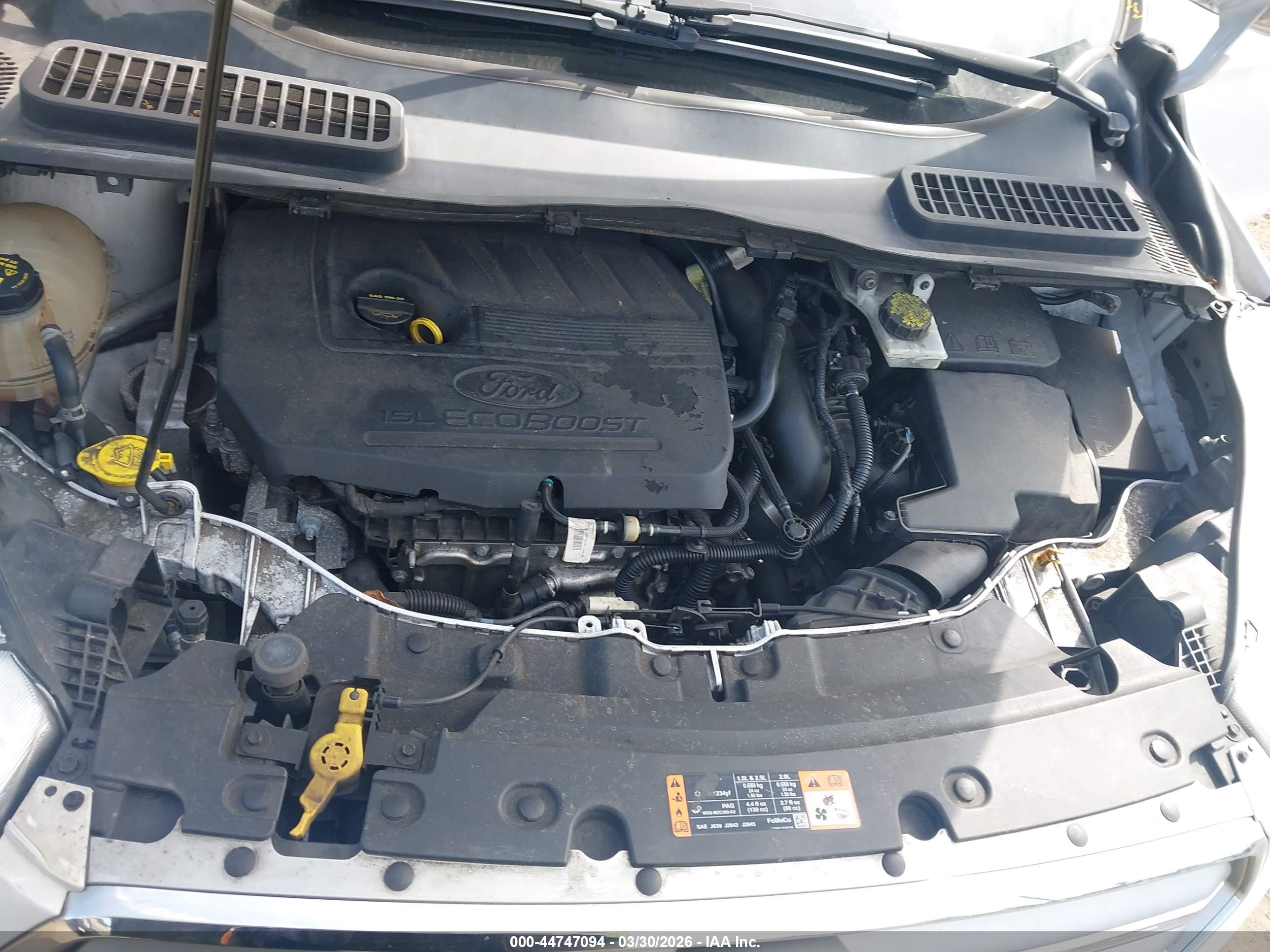 FORD ESCAPE image 10