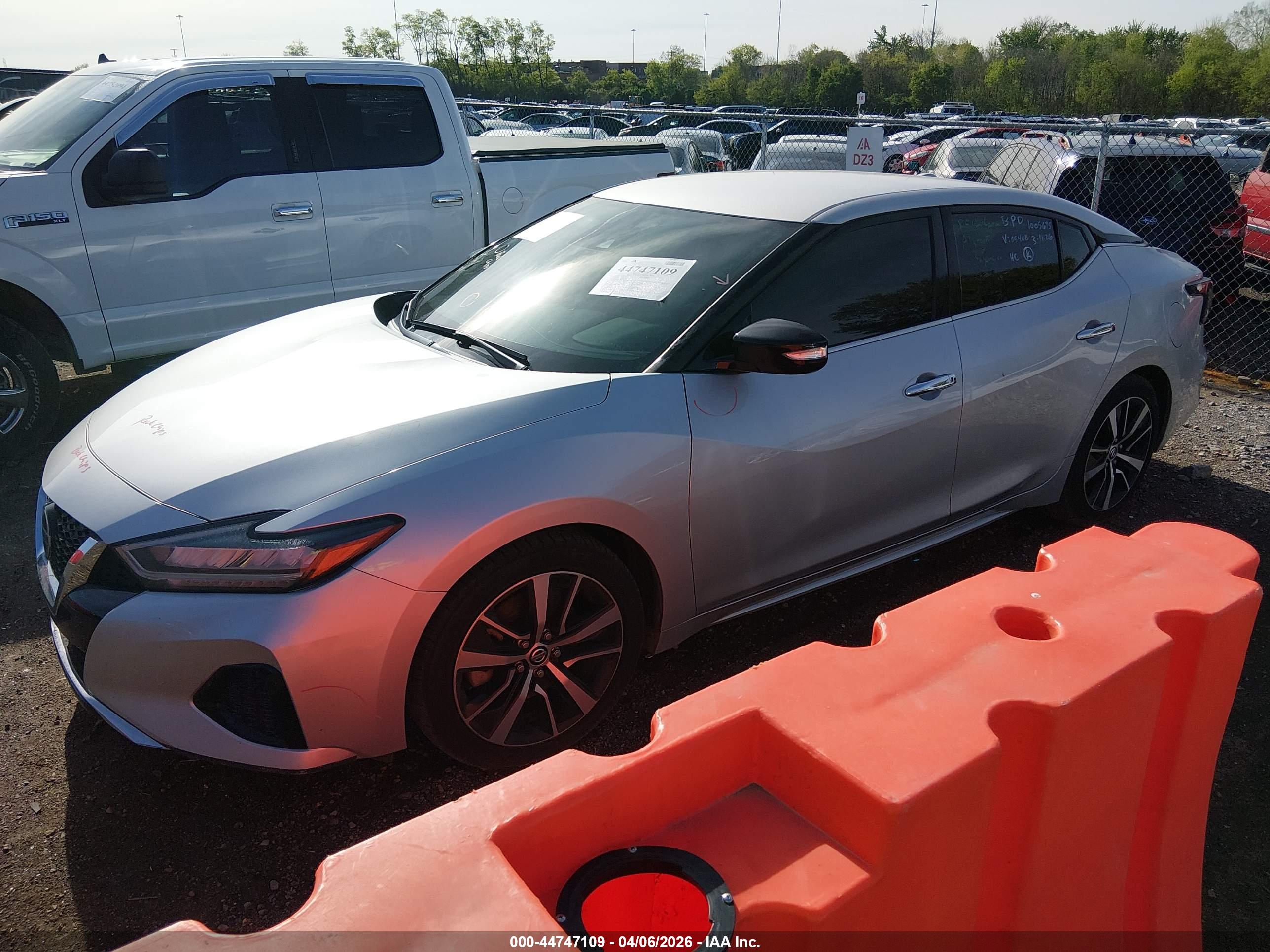 NISSAN MAXIMA image 2