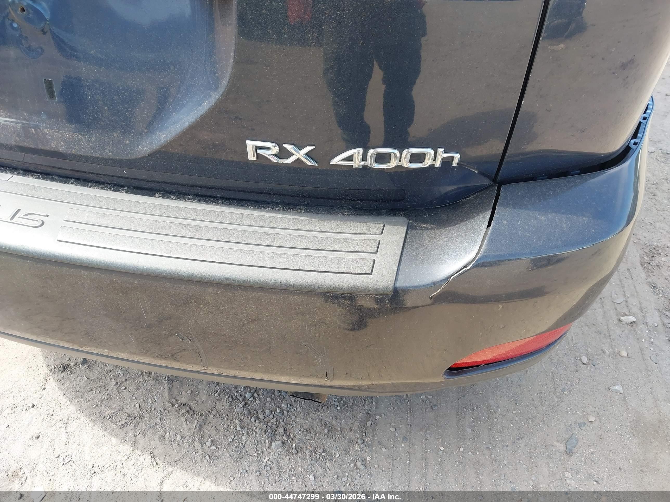 LEXUS RX image 6