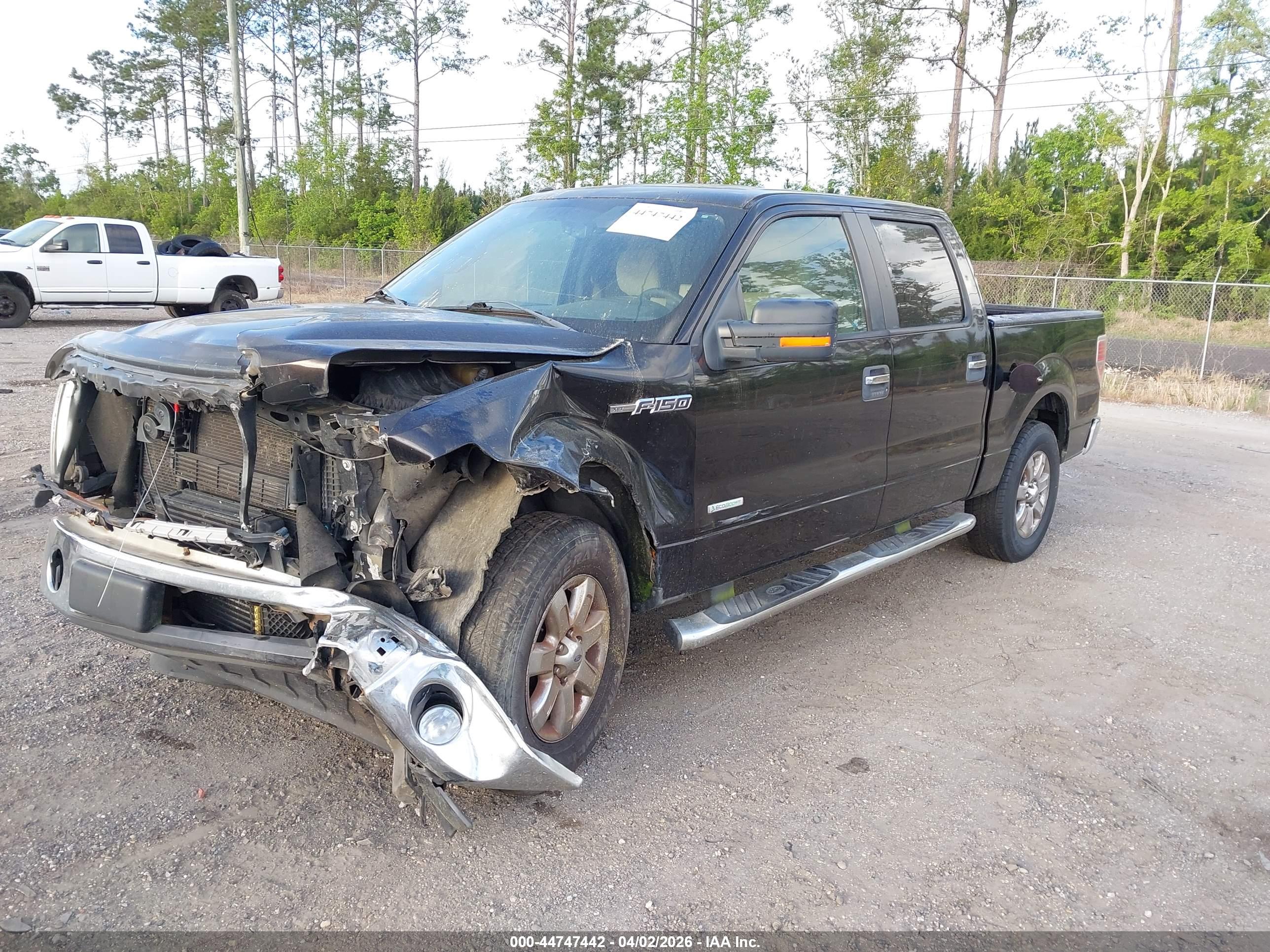 FORD F-150 image 2