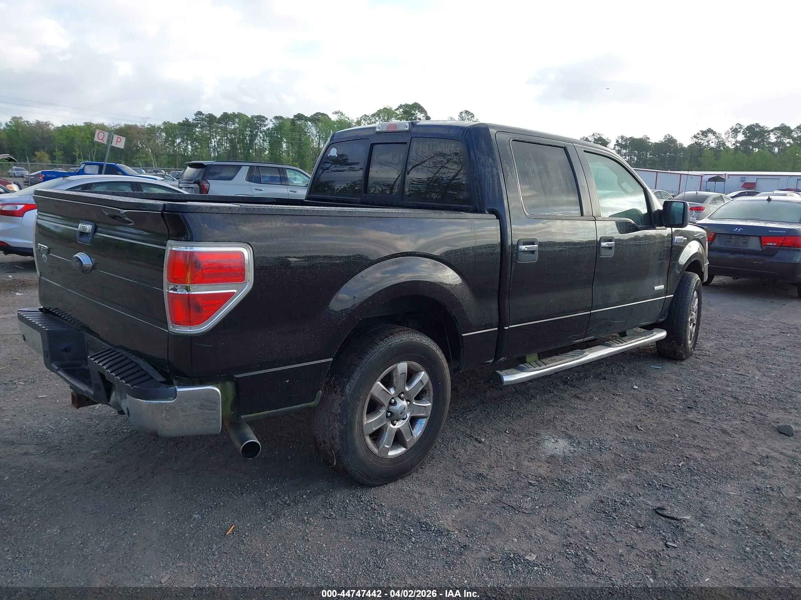 FORD F-150 image 4
